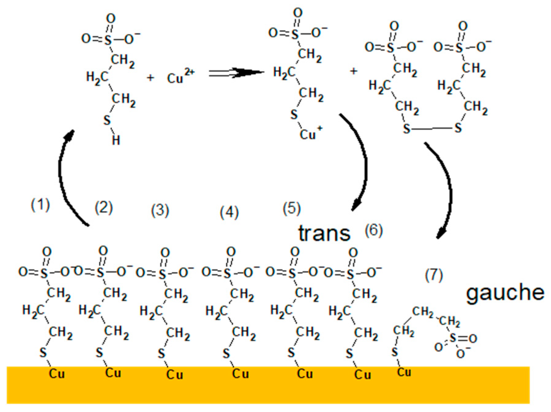 Molecules 27 08116 g009 Molecules 27 08116 g009