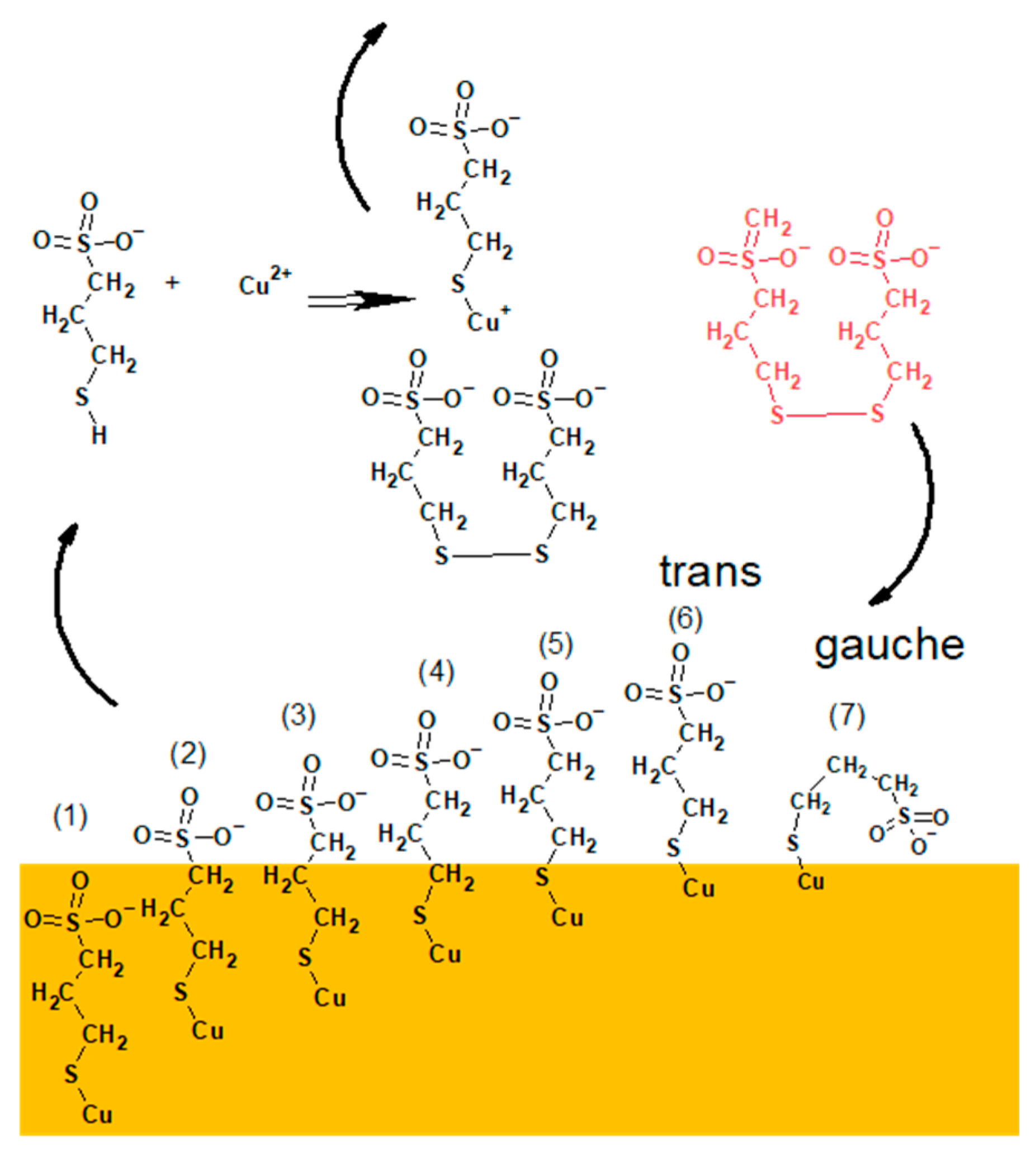 Molecules 27 08116 g011 Molecules 27 08116 g011