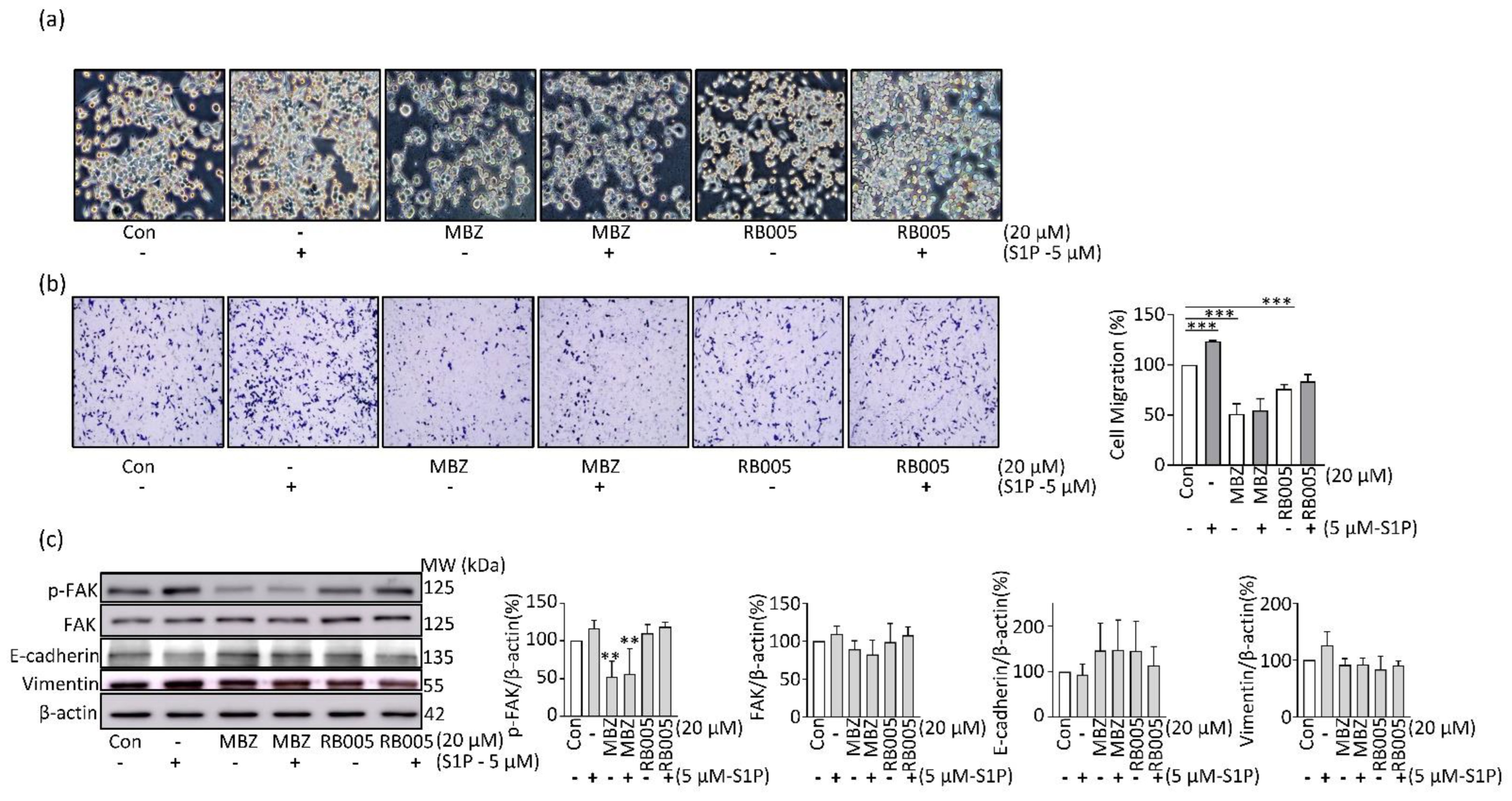 Molecules 27 08127 g005