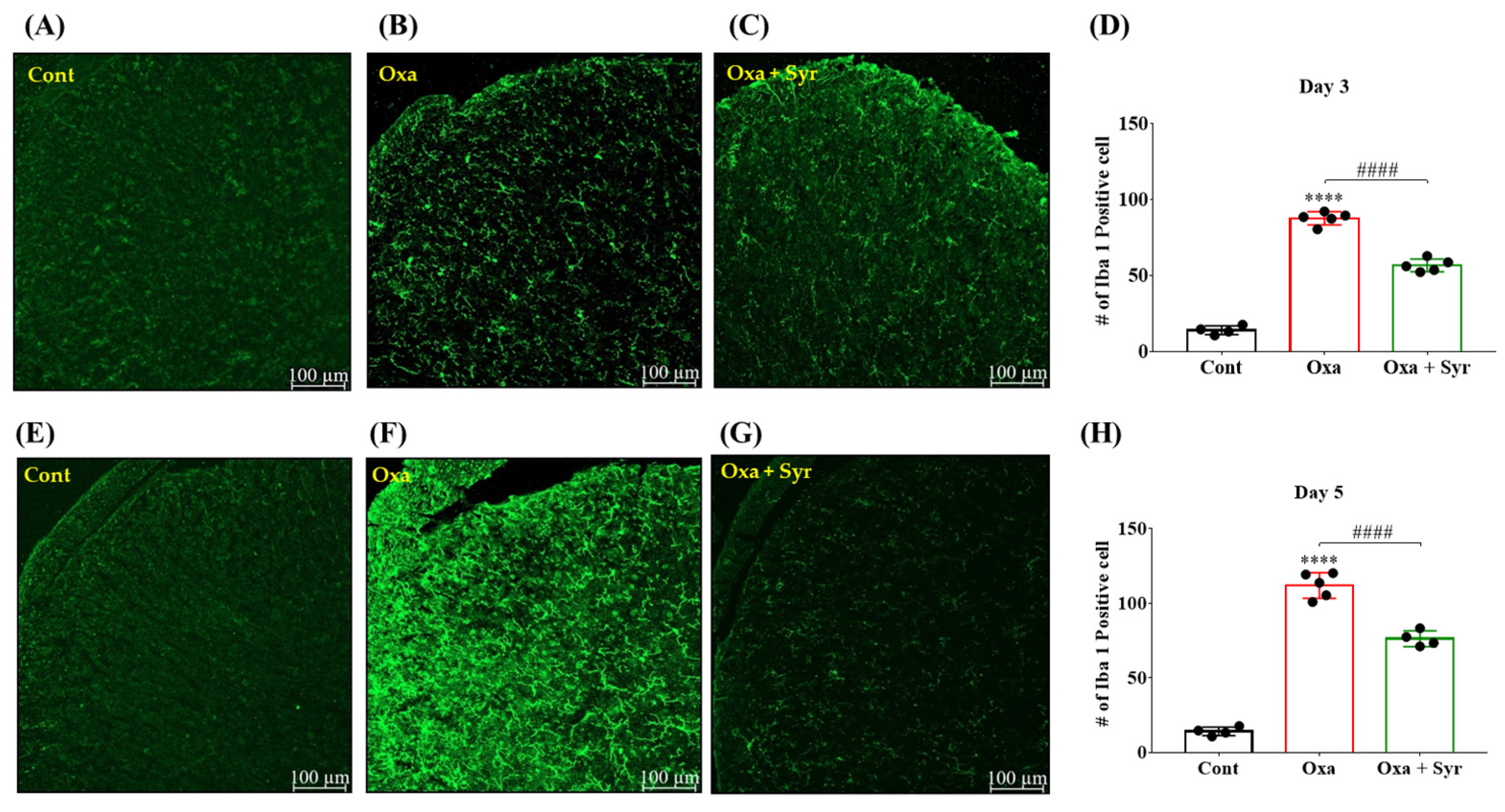 Molecules 27 08138 g003 Molecules 27 08138 g003
