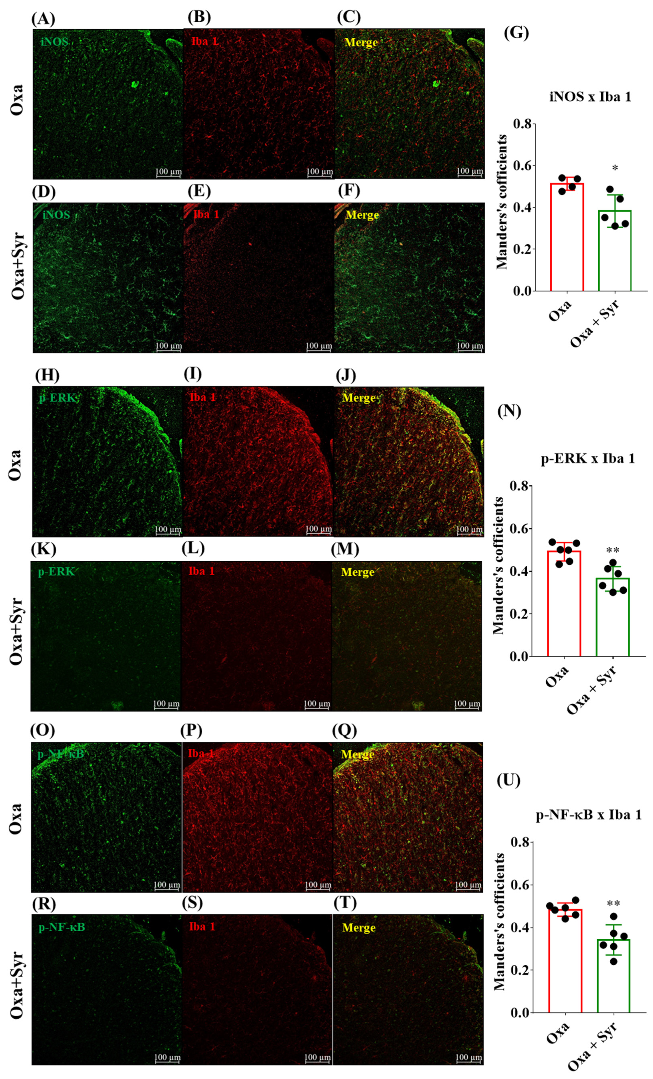 Molecules 27 08138 g004 Molecules 27 08138 g004