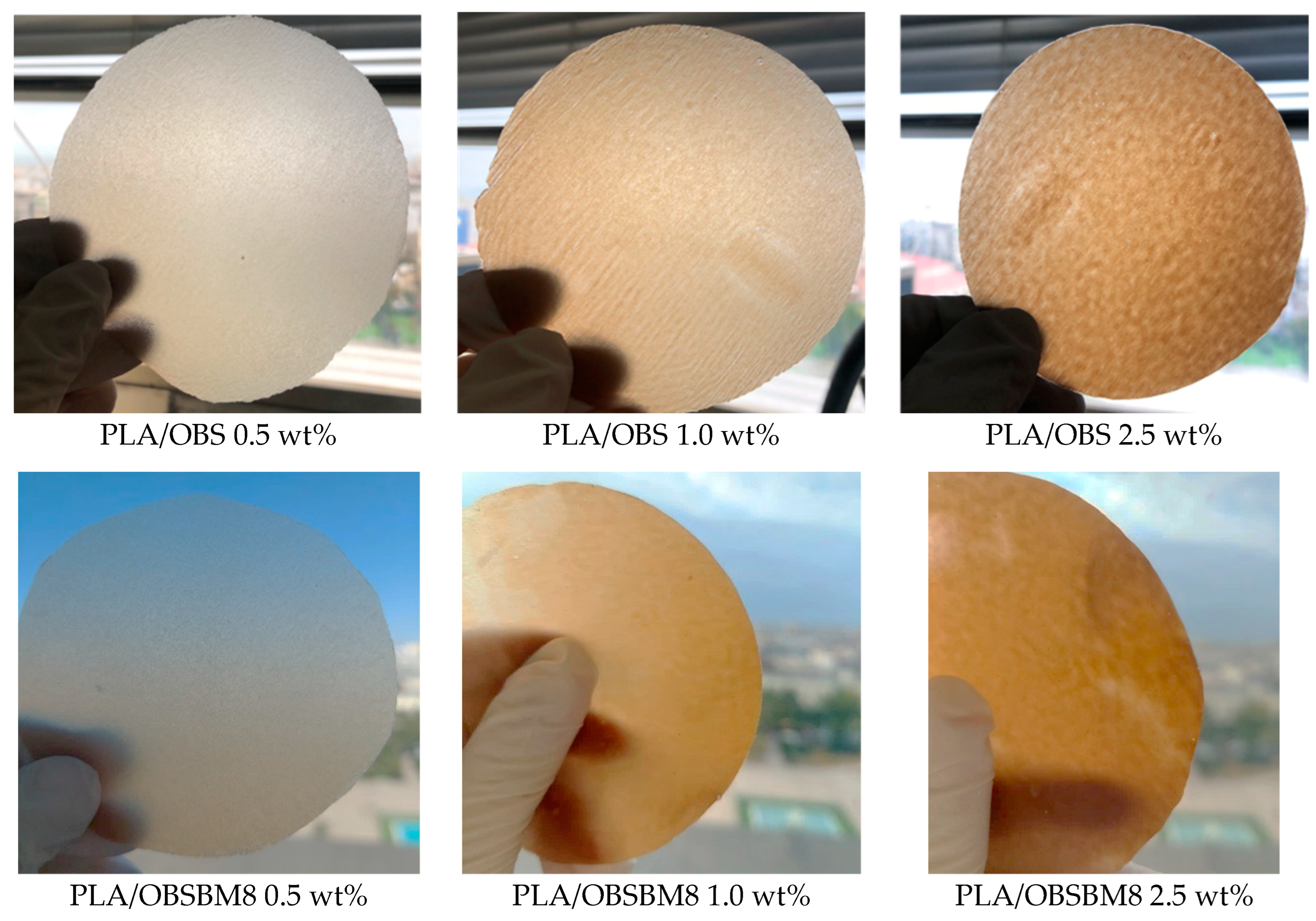 Molecules 27 08143 g002
