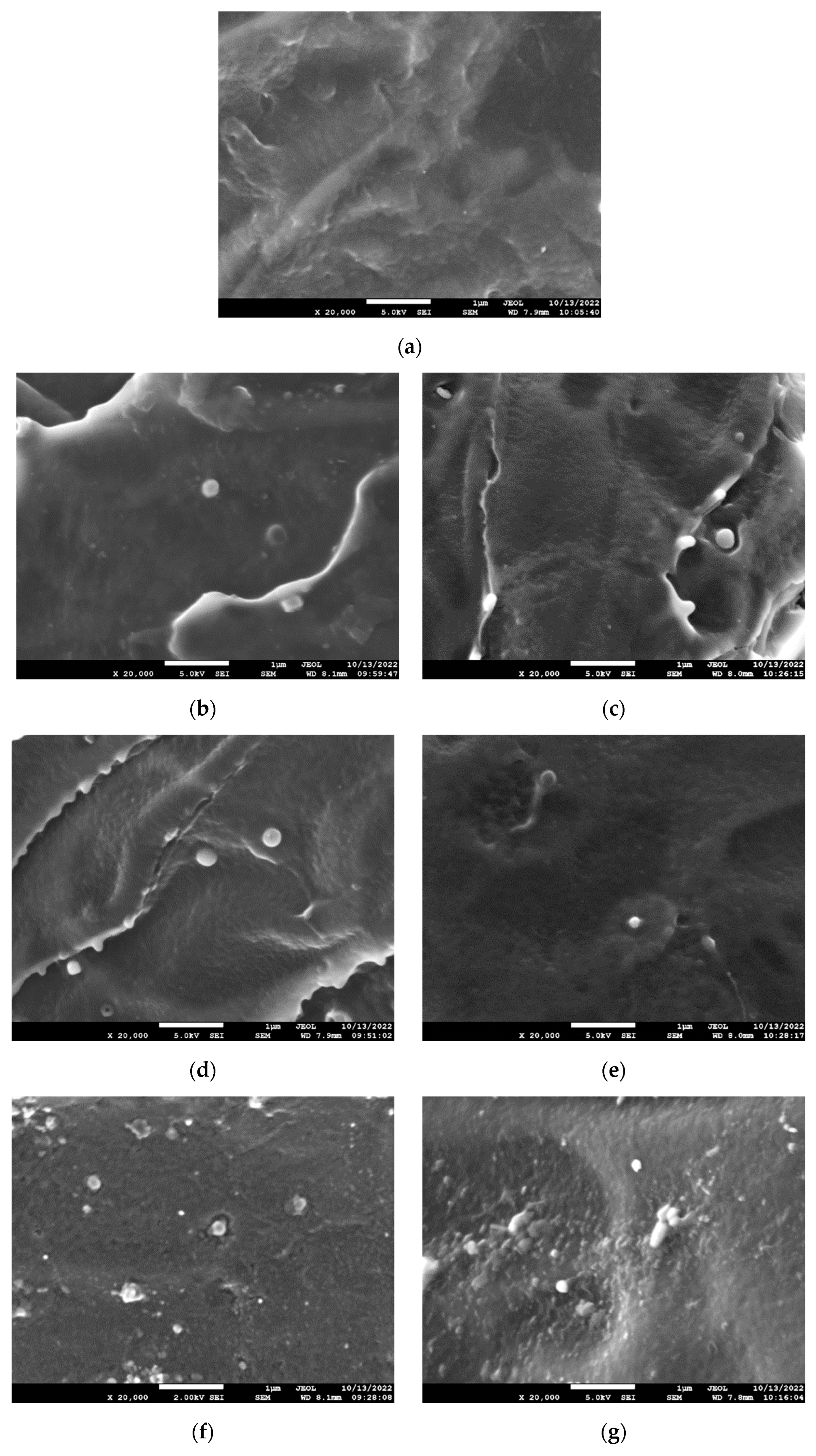 Molecules 27 08143 g003