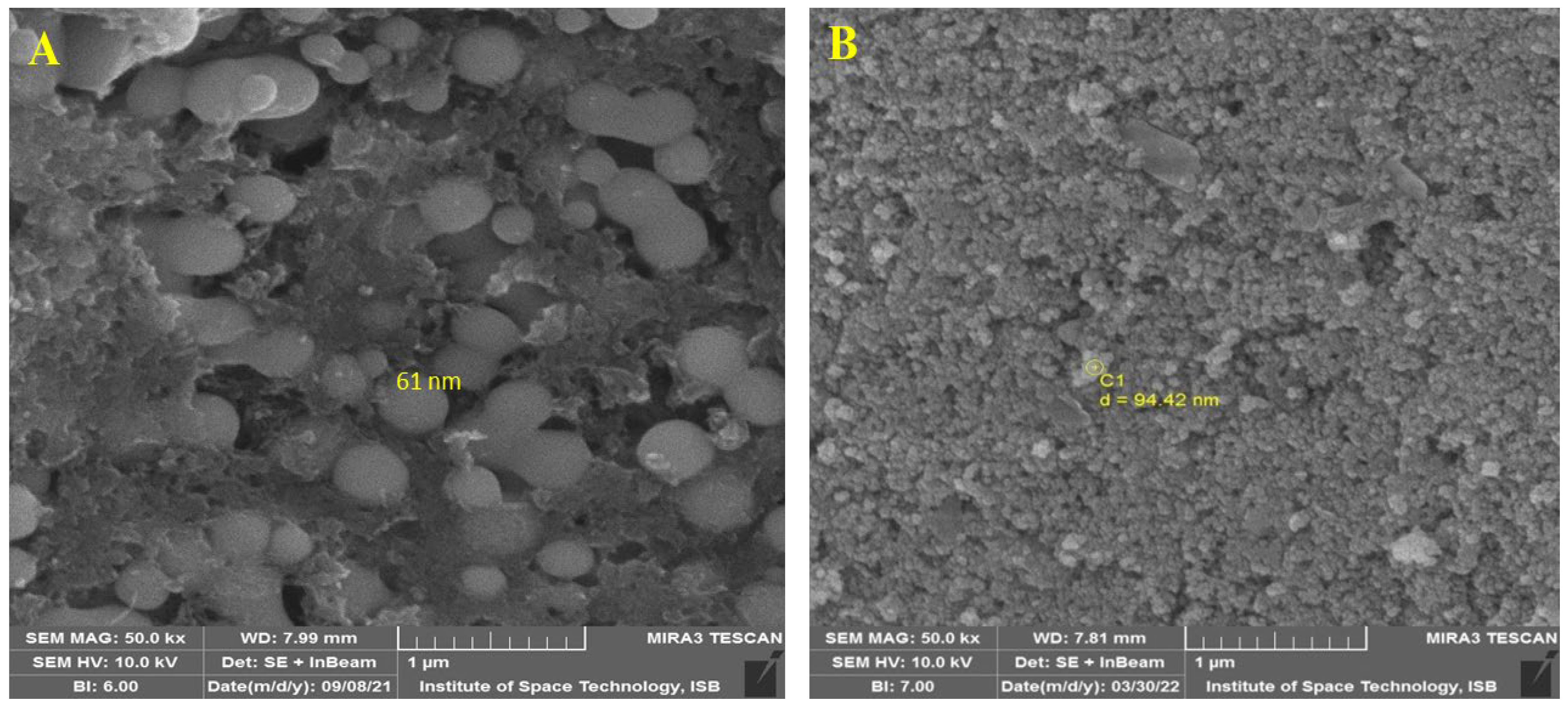 Molecules 27 08149 g002