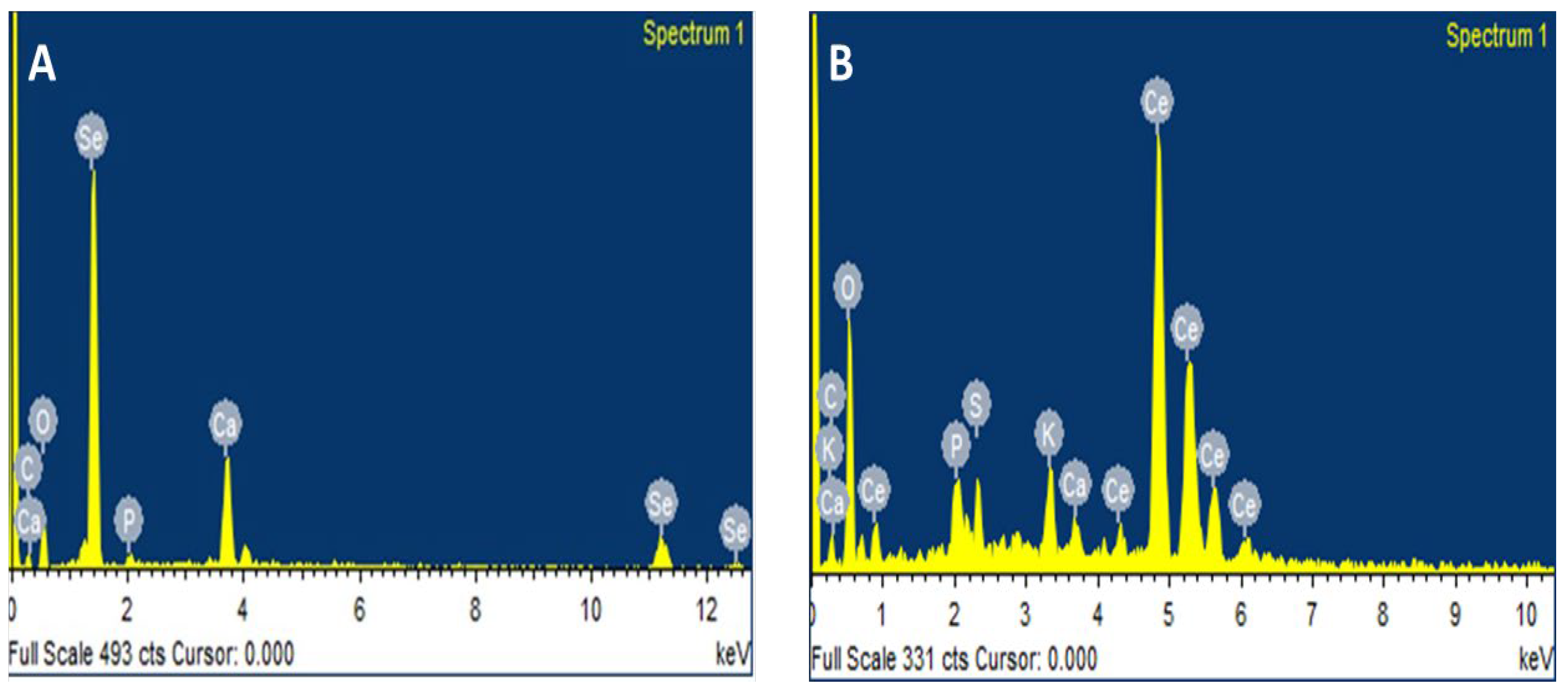 Molecules 27 08149 g004
