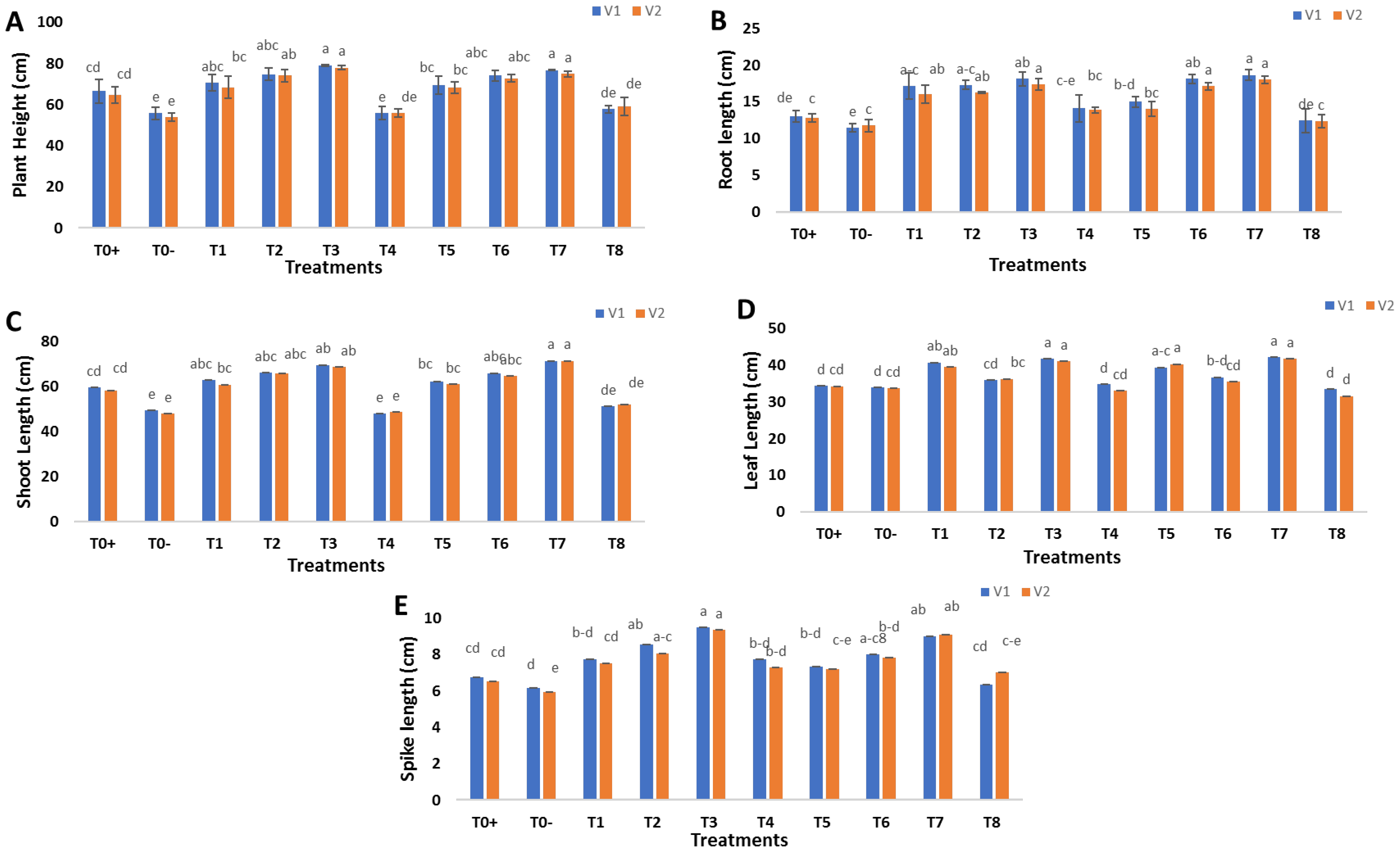 Molecules 27 08149 g006