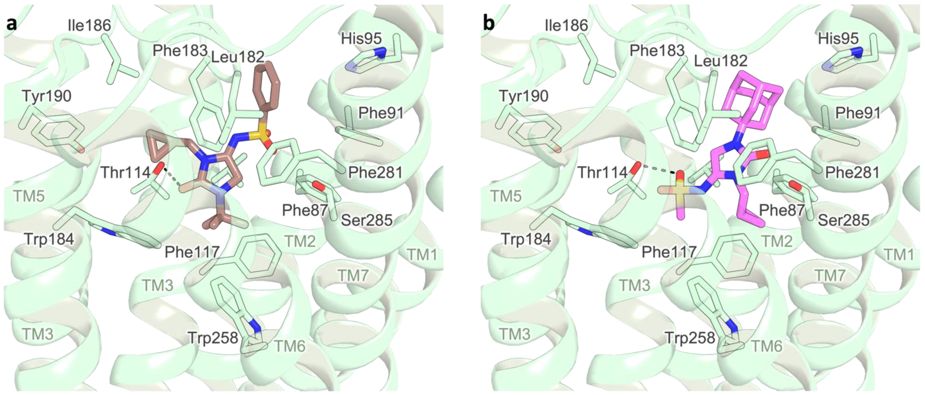 Molecules 27 08152 g005