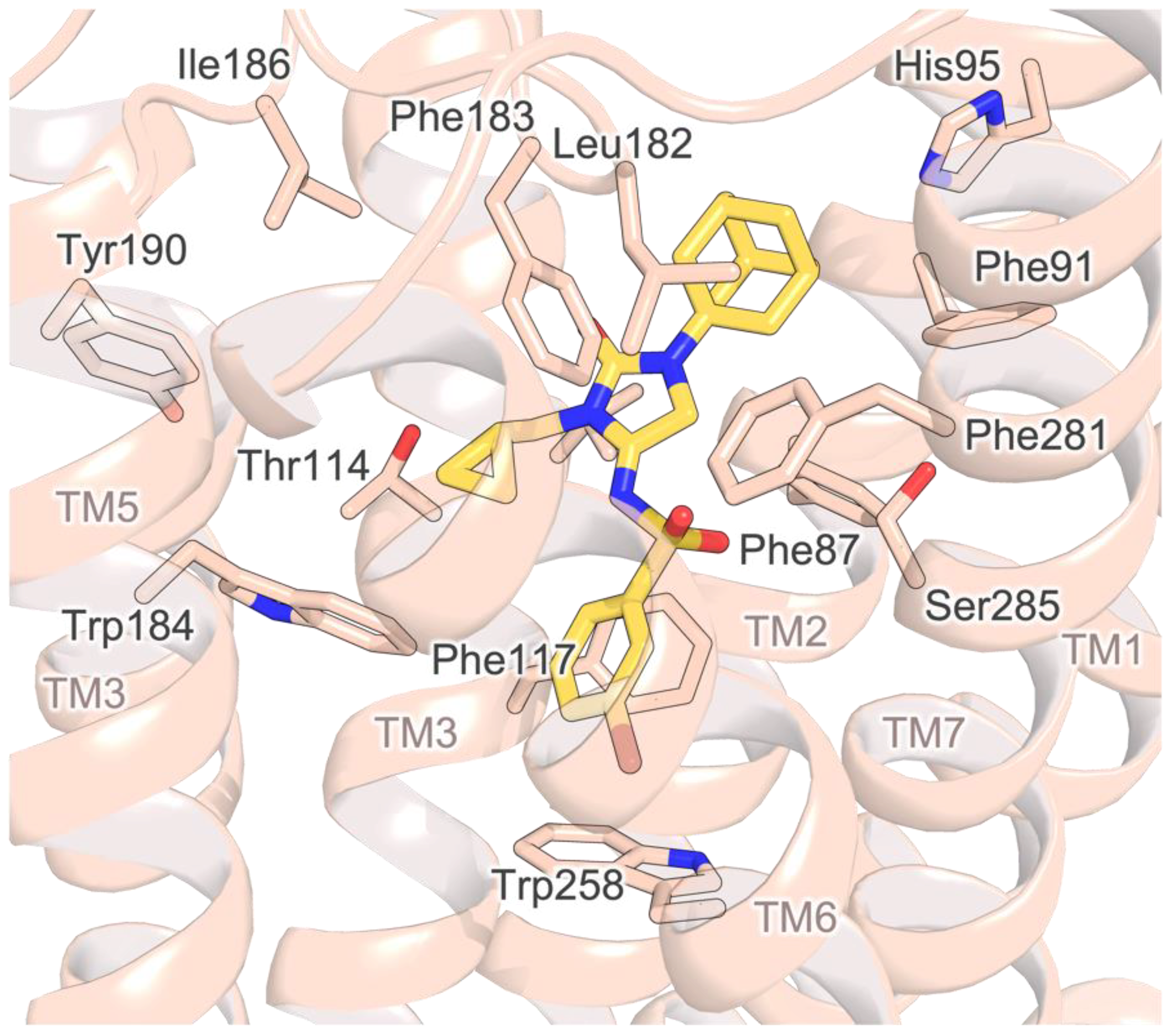 Molecules 27 08152 g006