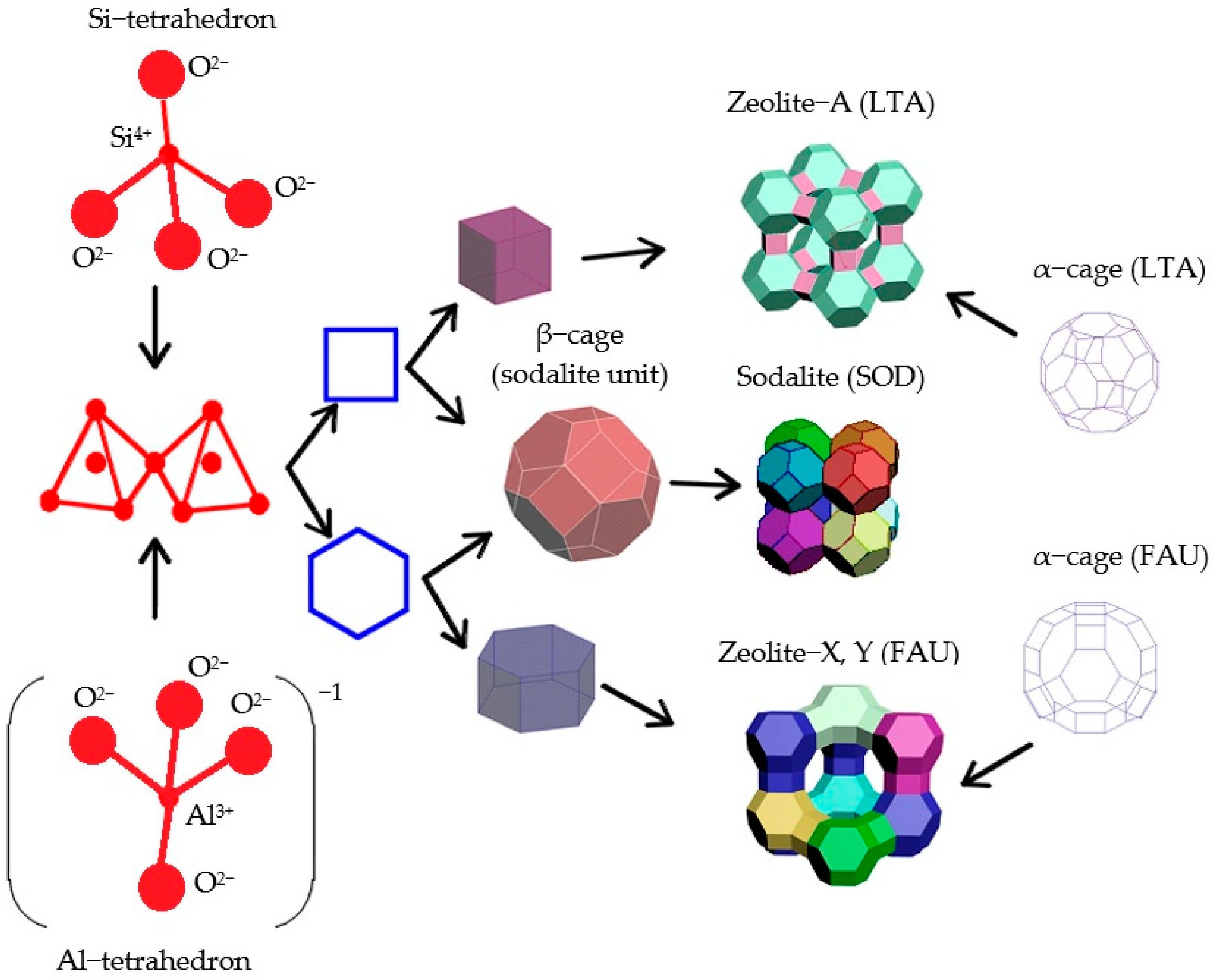 Molecules 27 08156 g013