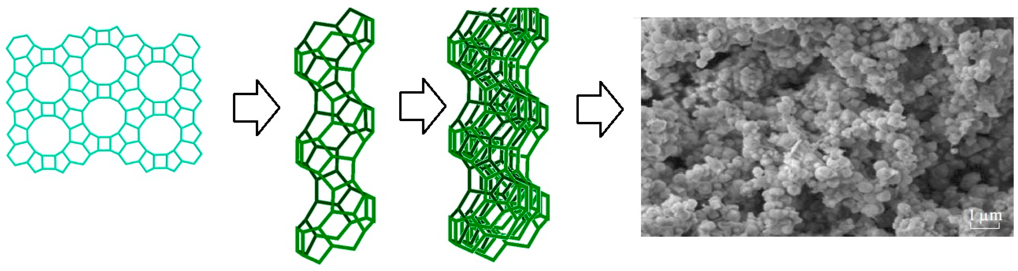 Molecules 27 08156 g016