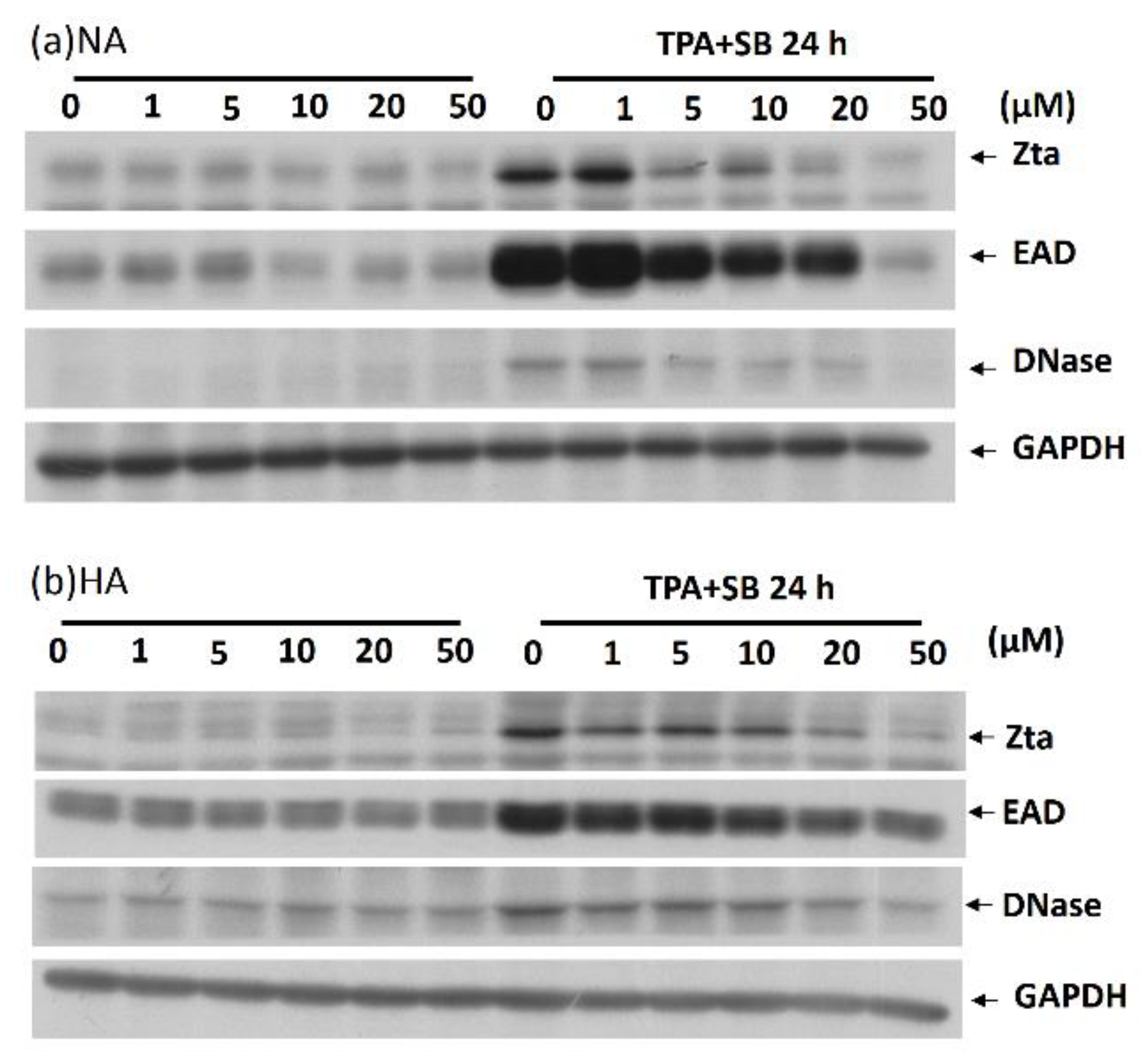 Molecules 27 08158 g002