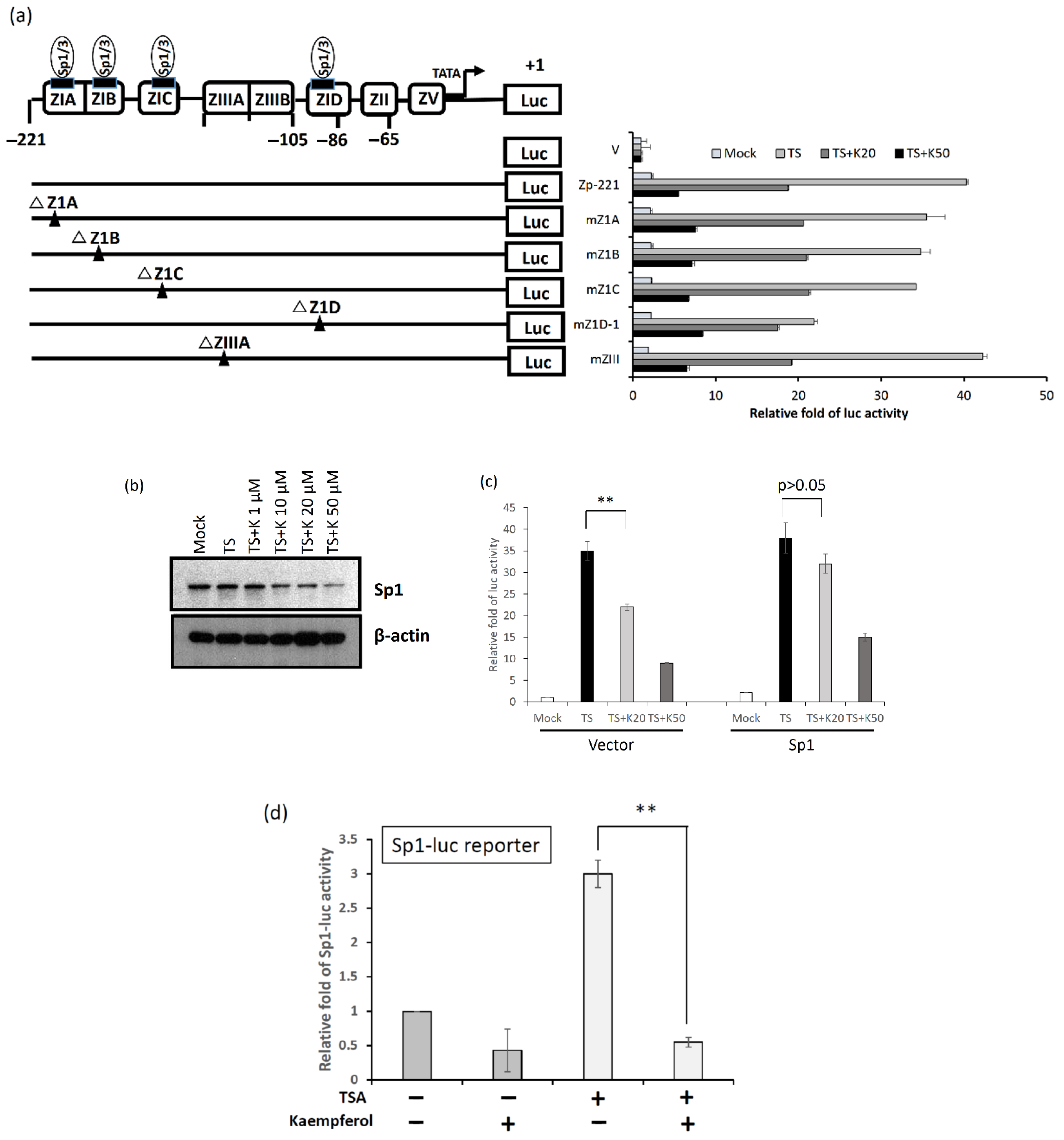 Molecules 27 08158 g007