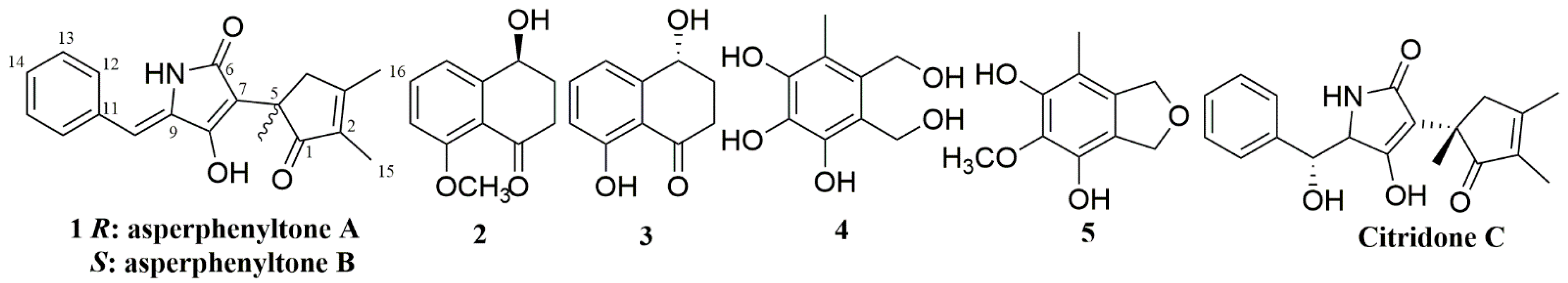 Molecules 27 08160 g001