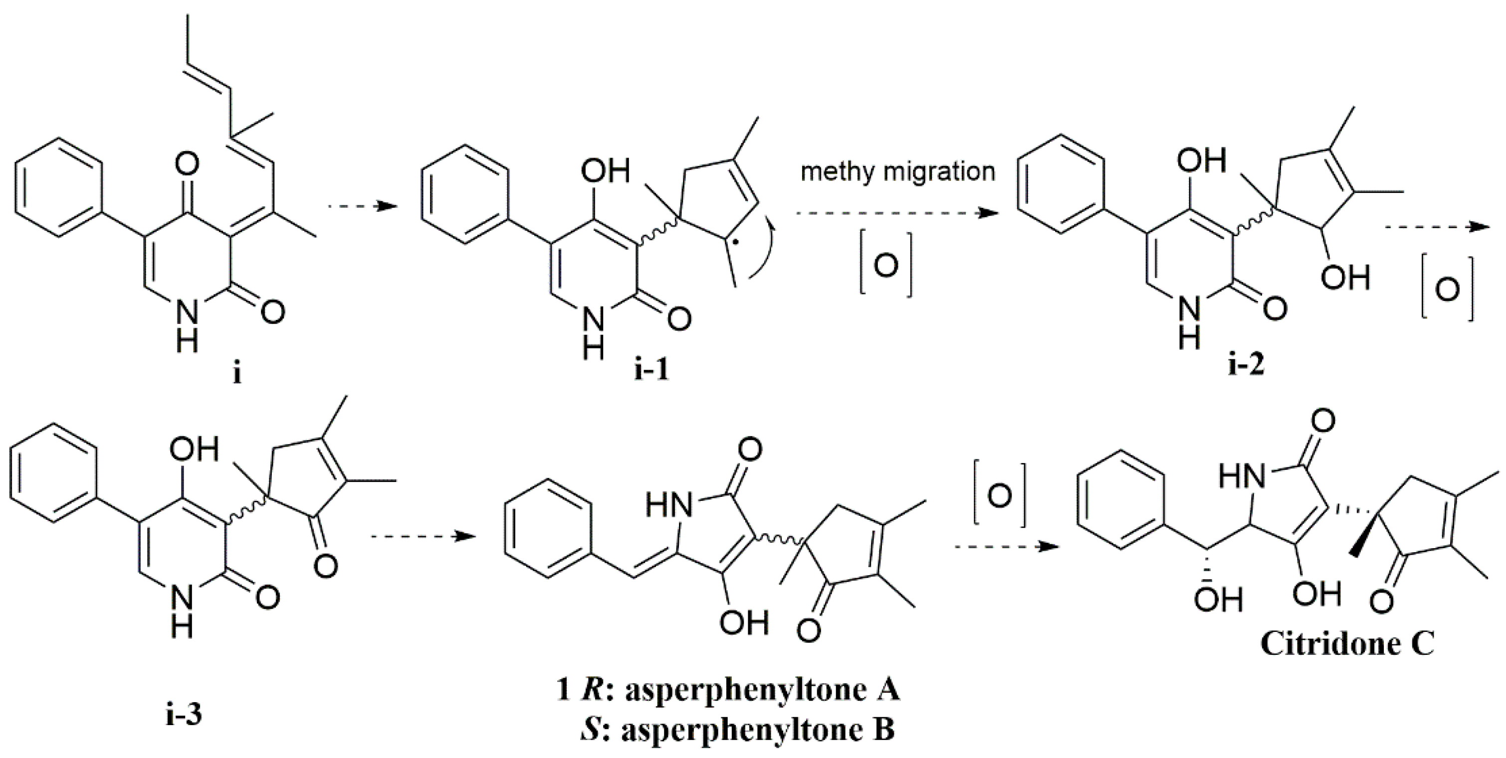 Molecules 27 08160 g005