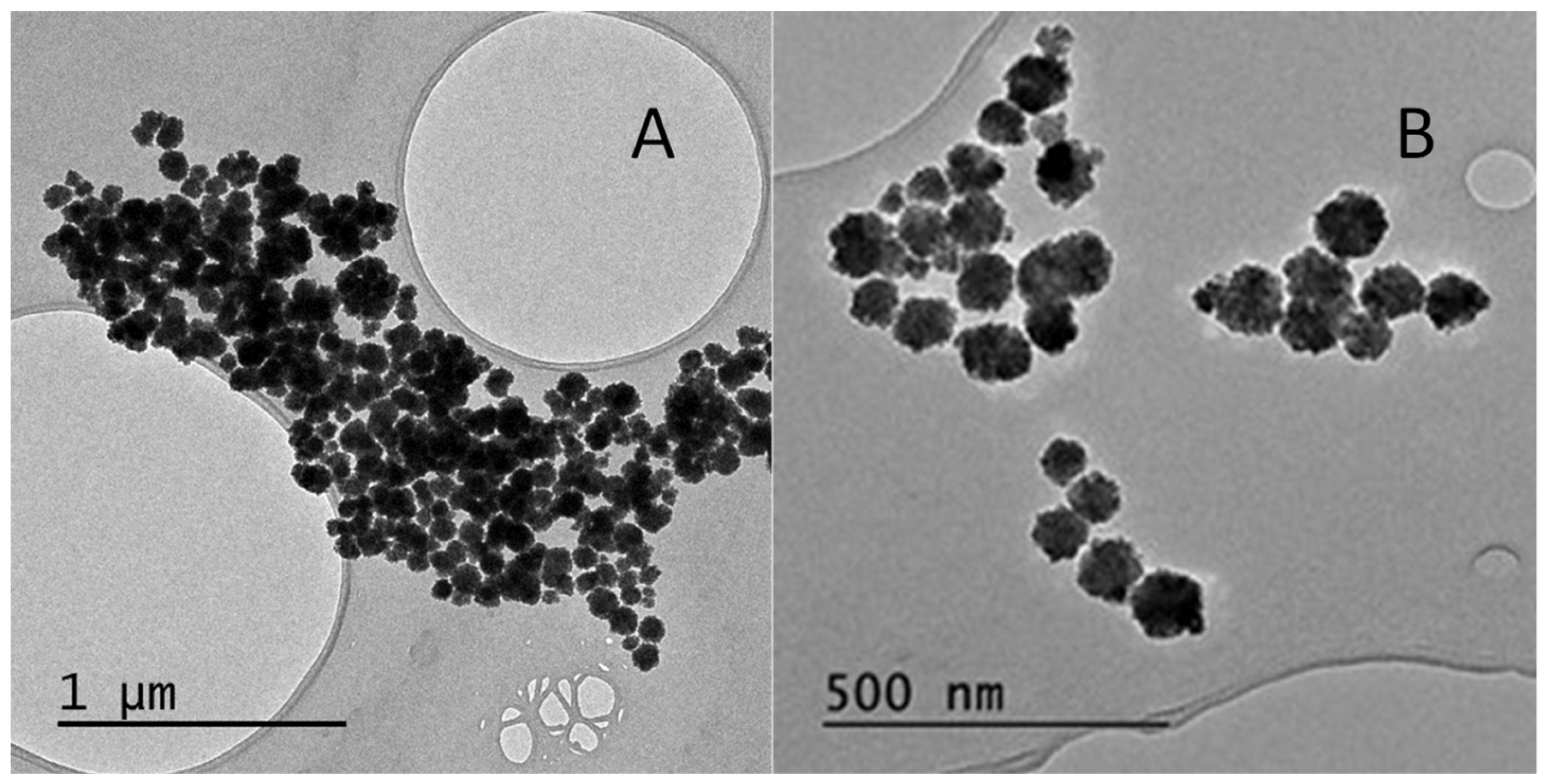 Molecules 27 08166 g001