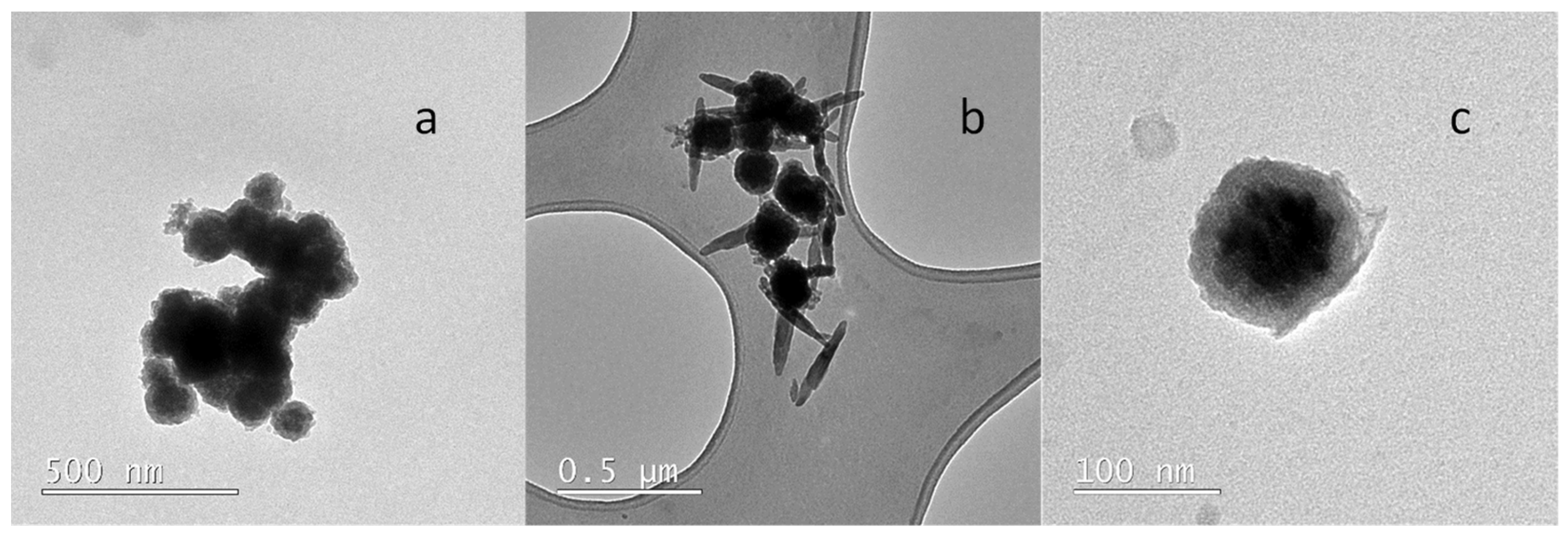 Molecules 27 08166 g002