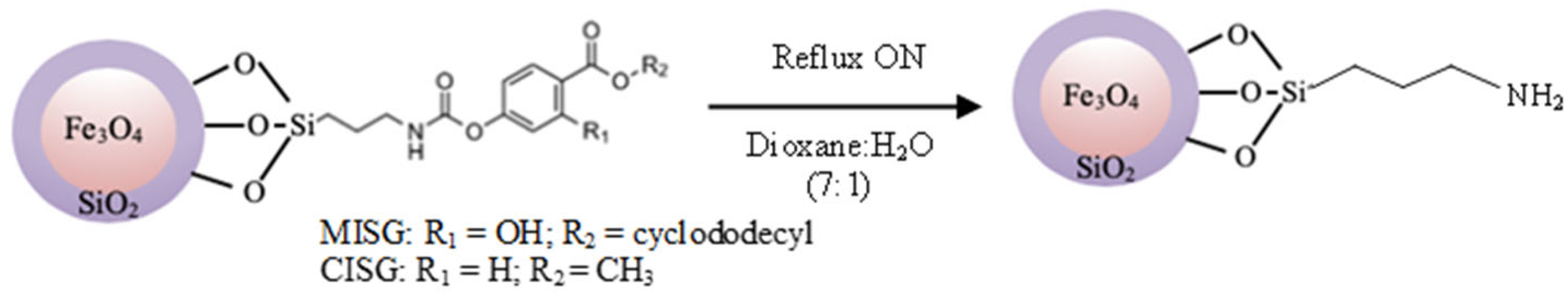 Molecules 27 08166 g004