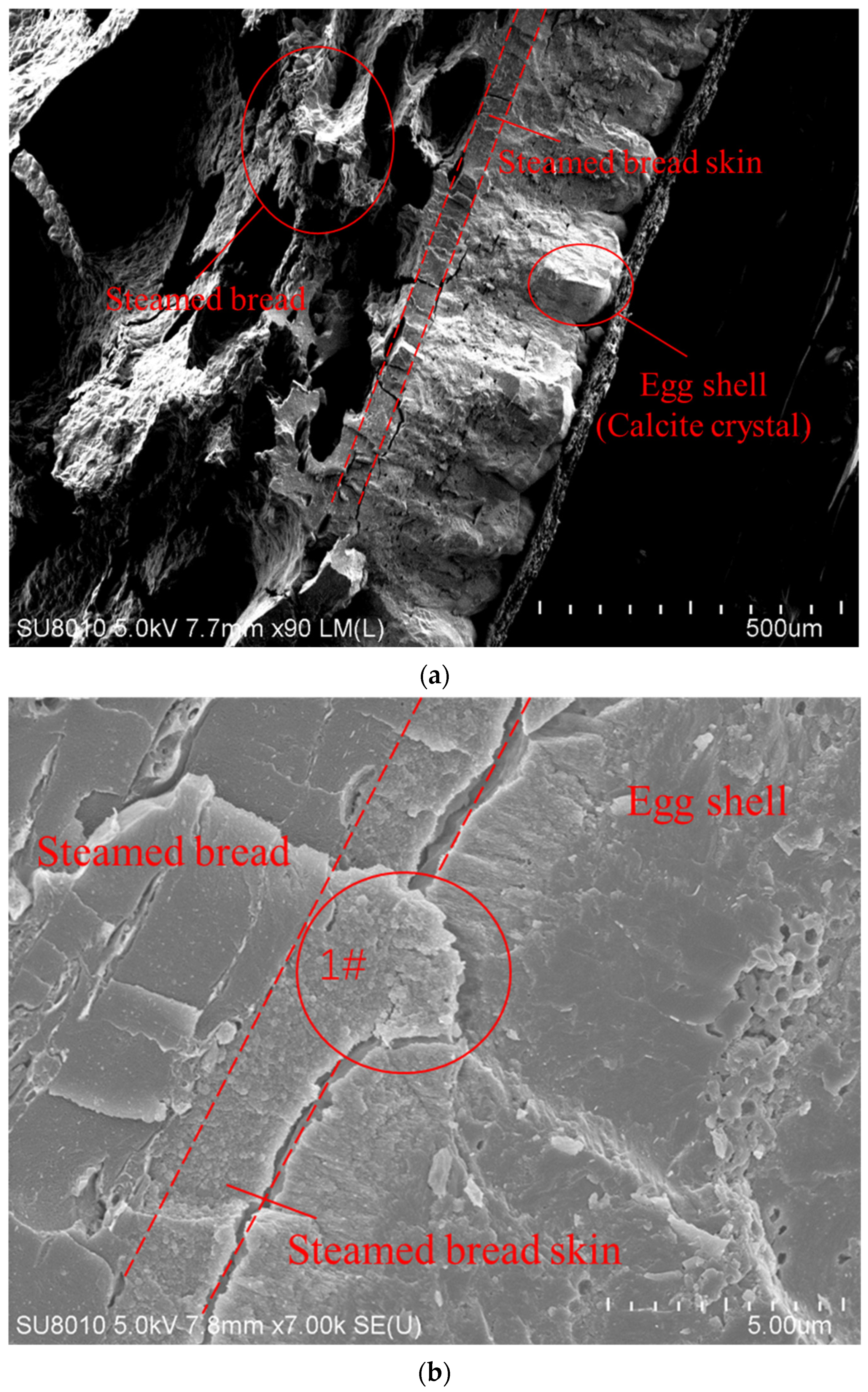 Molecules 27 08179 g001a