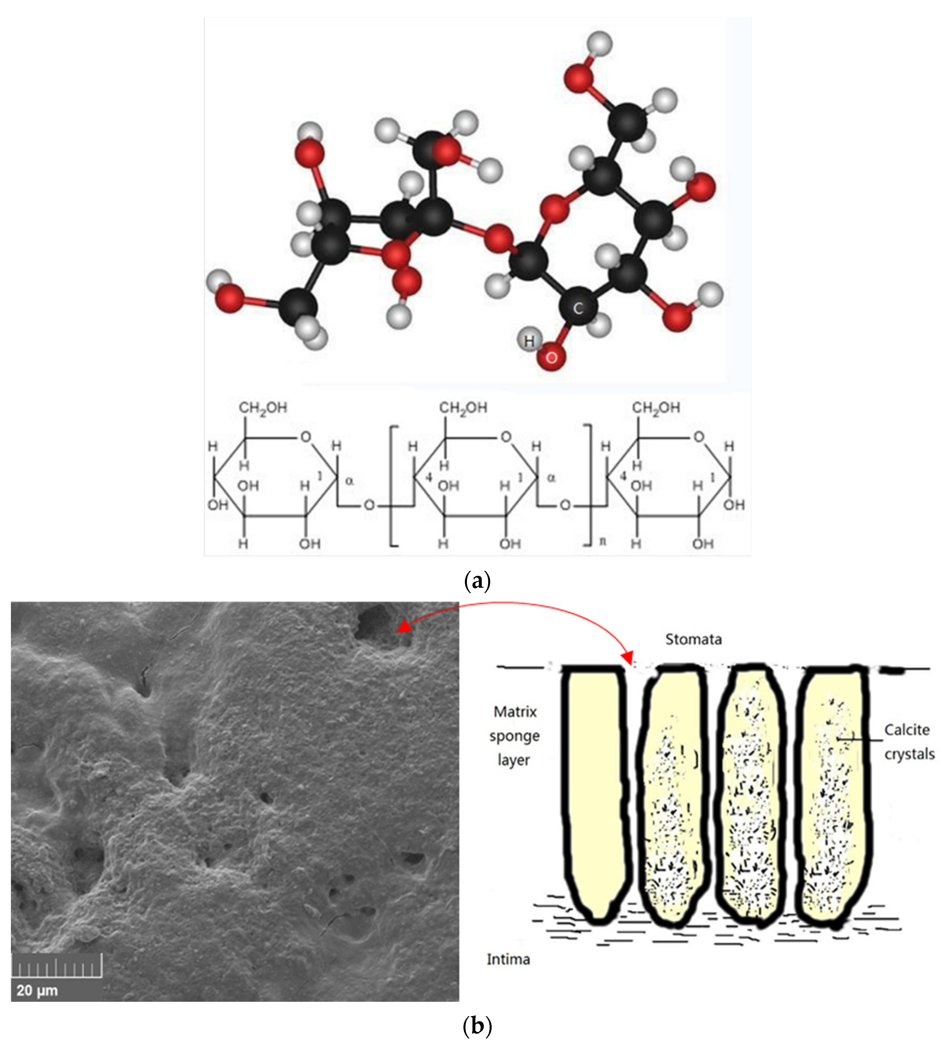 Molecules 27 08179 g003a