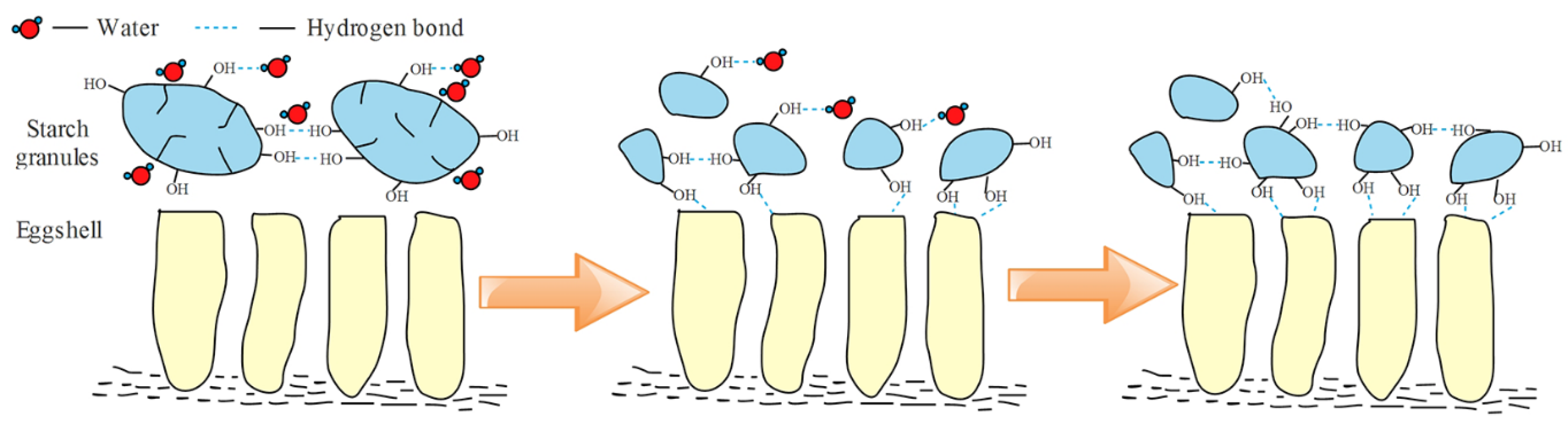 Molecules 27 08179 g006