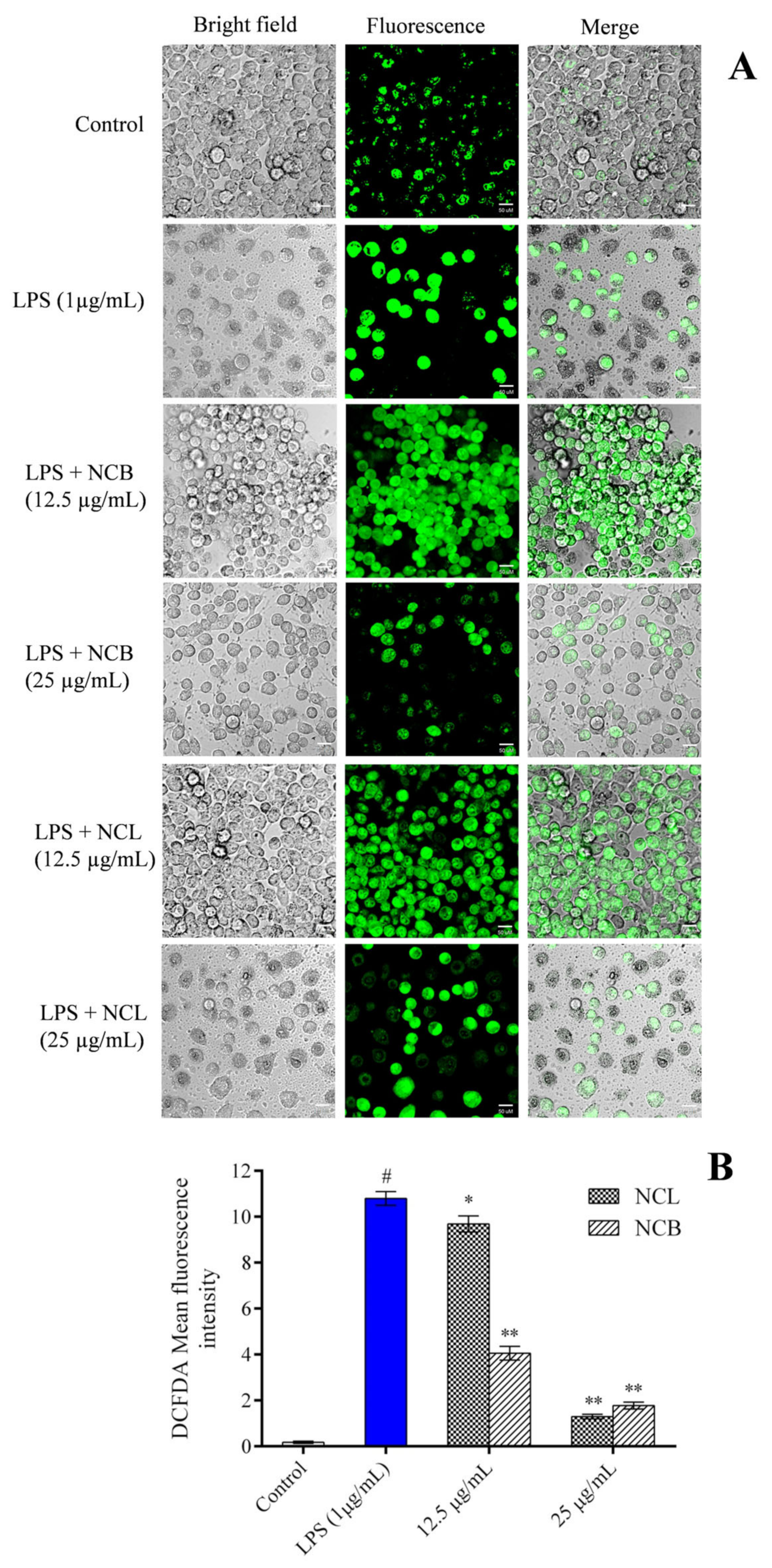 Molecules 27 08193 g005