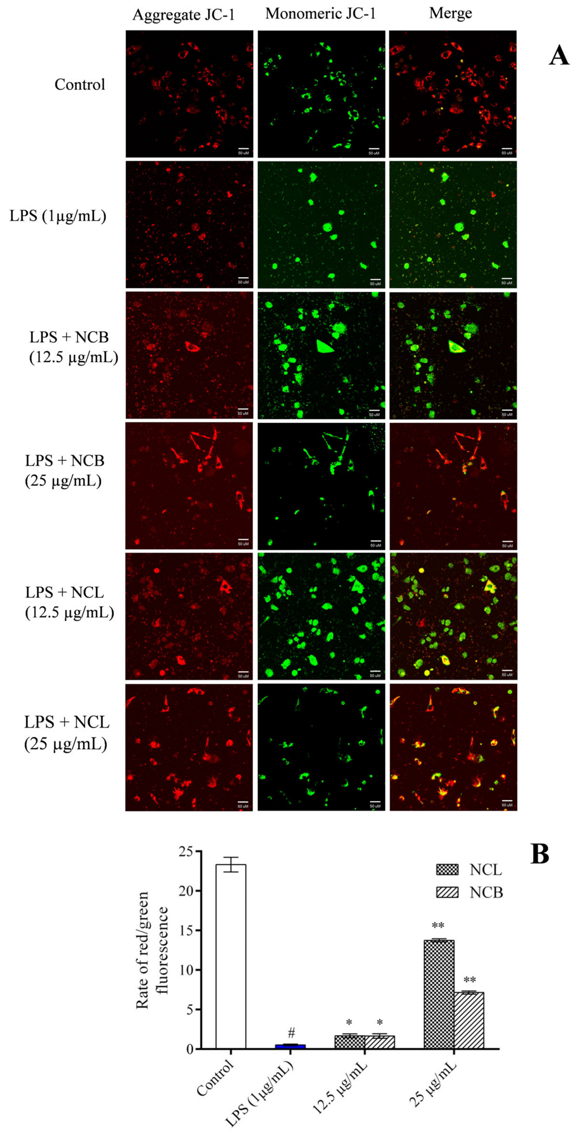 Molecules 27 08193 g007