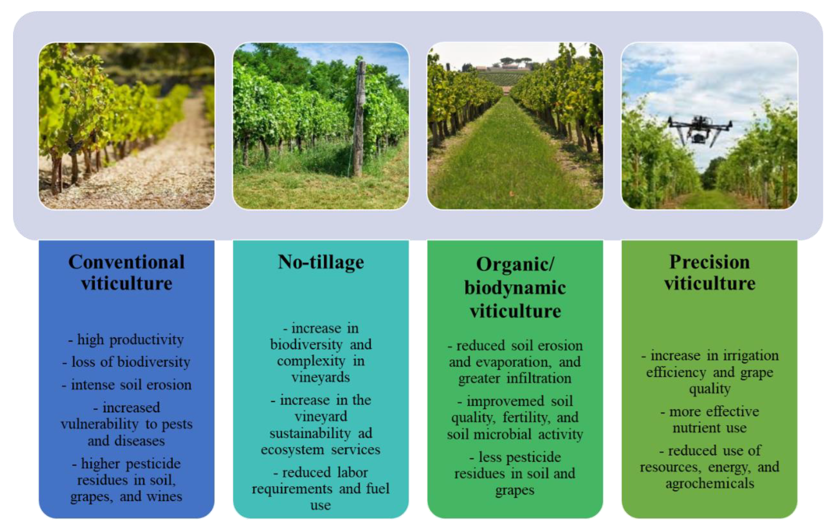 Molecules 27 08205 g003
