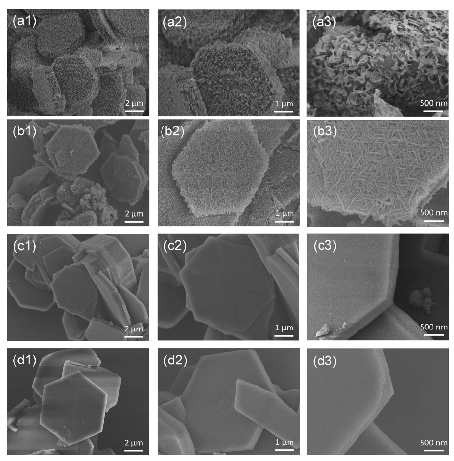 Molecules 27 08226 g001 Molecules 27 08226 g001