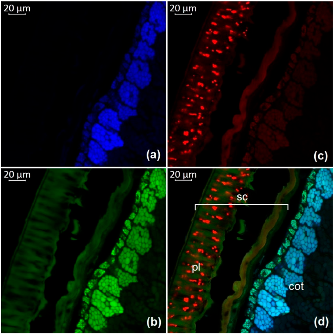 Molecules 27 08228 g005 Molecules 27 08228 g005