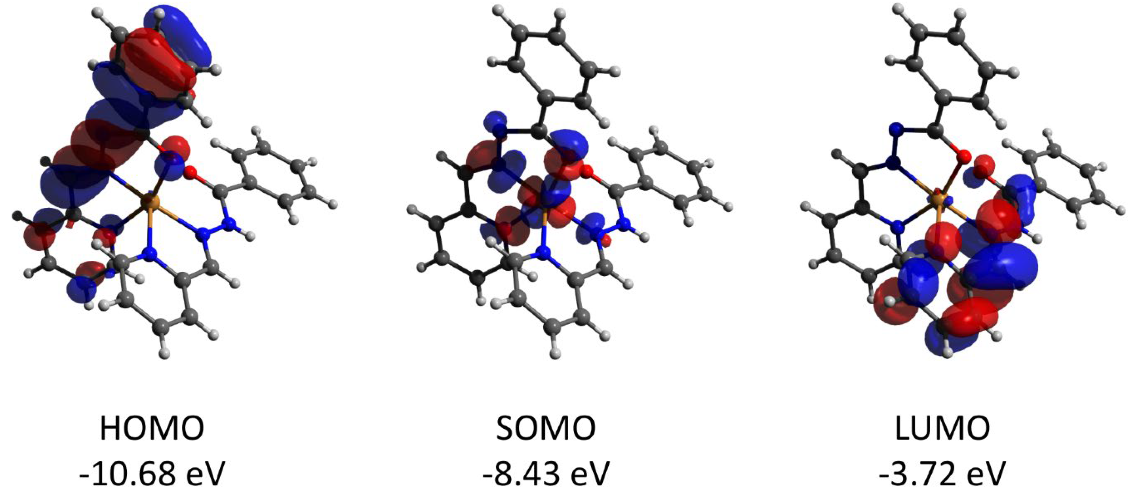 Molecules 27 08233 g013