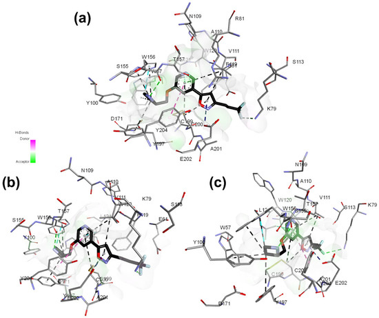 Molecules 27 08236 g006