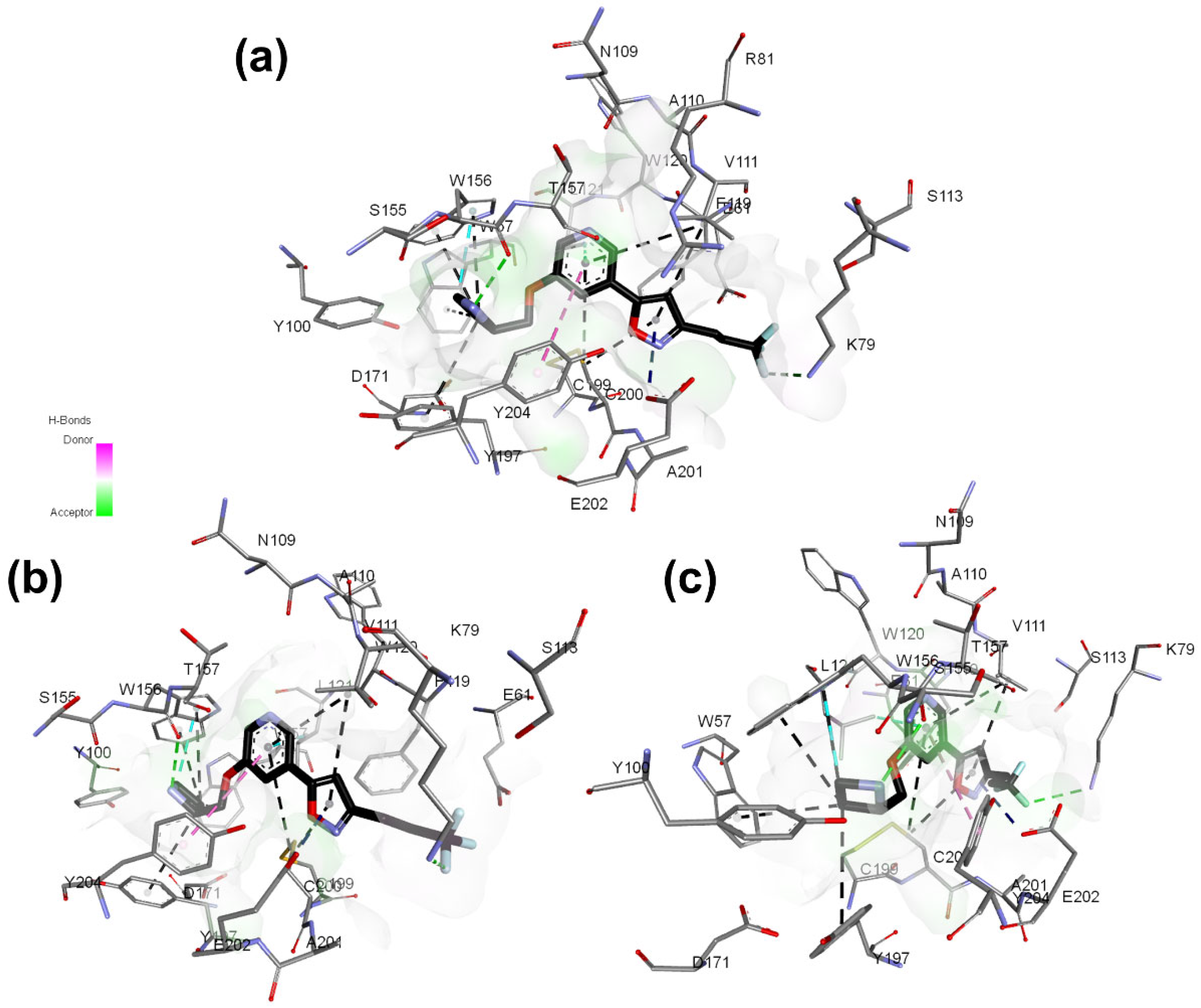 Molecules 27 08236 g006 Molecules 27 08236 g006