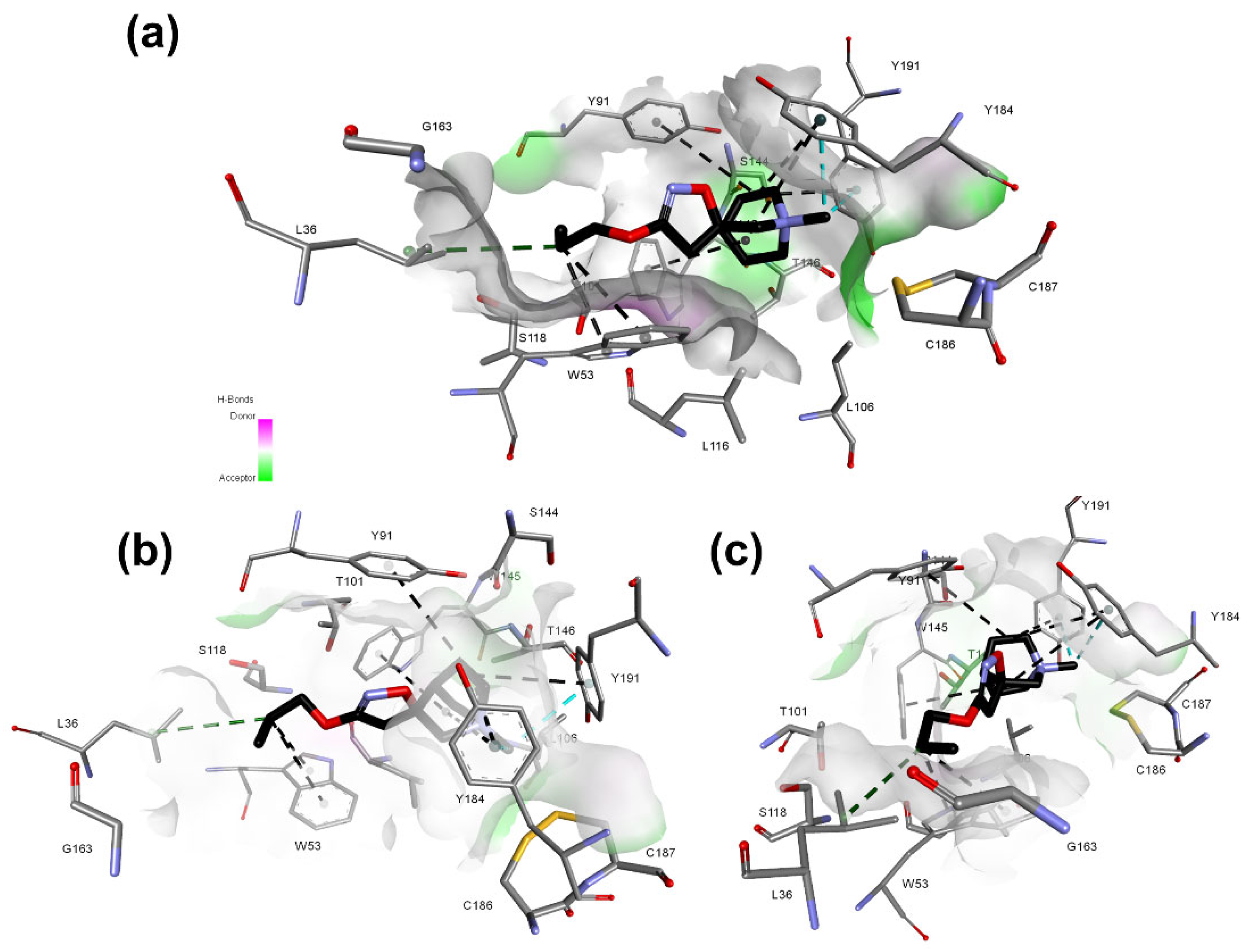 Molecules 27 08236 g011 Molecules 27 08236 g011