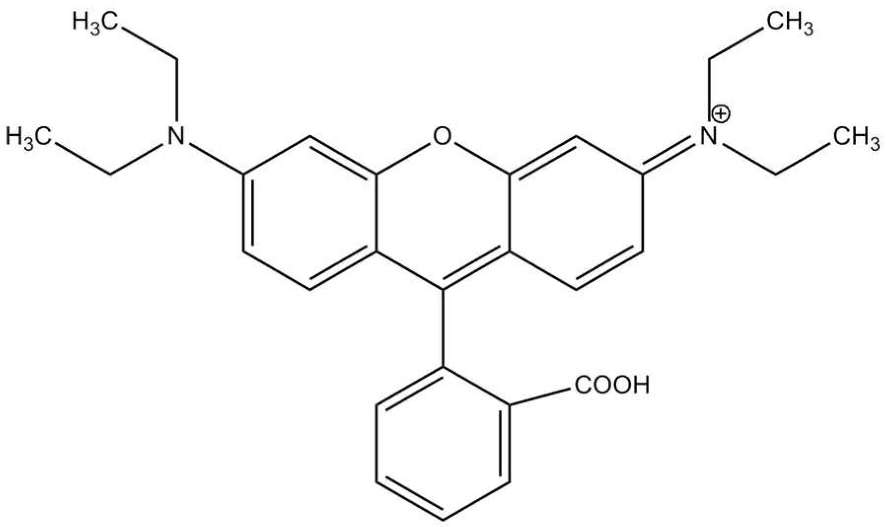 Molecules 27 08238 g004
