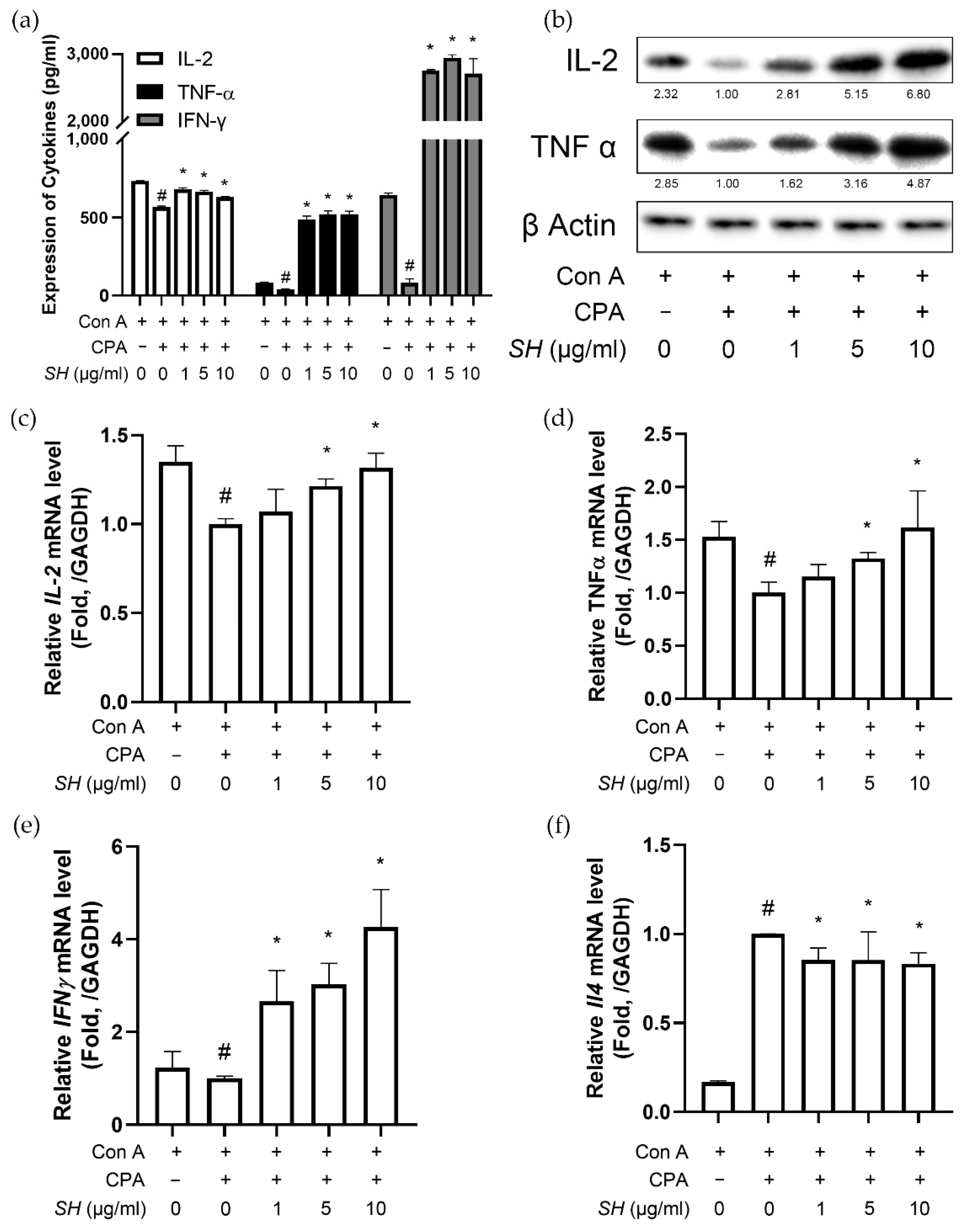 Molecules 27 08253 g008 Molecules 27 08253 g008