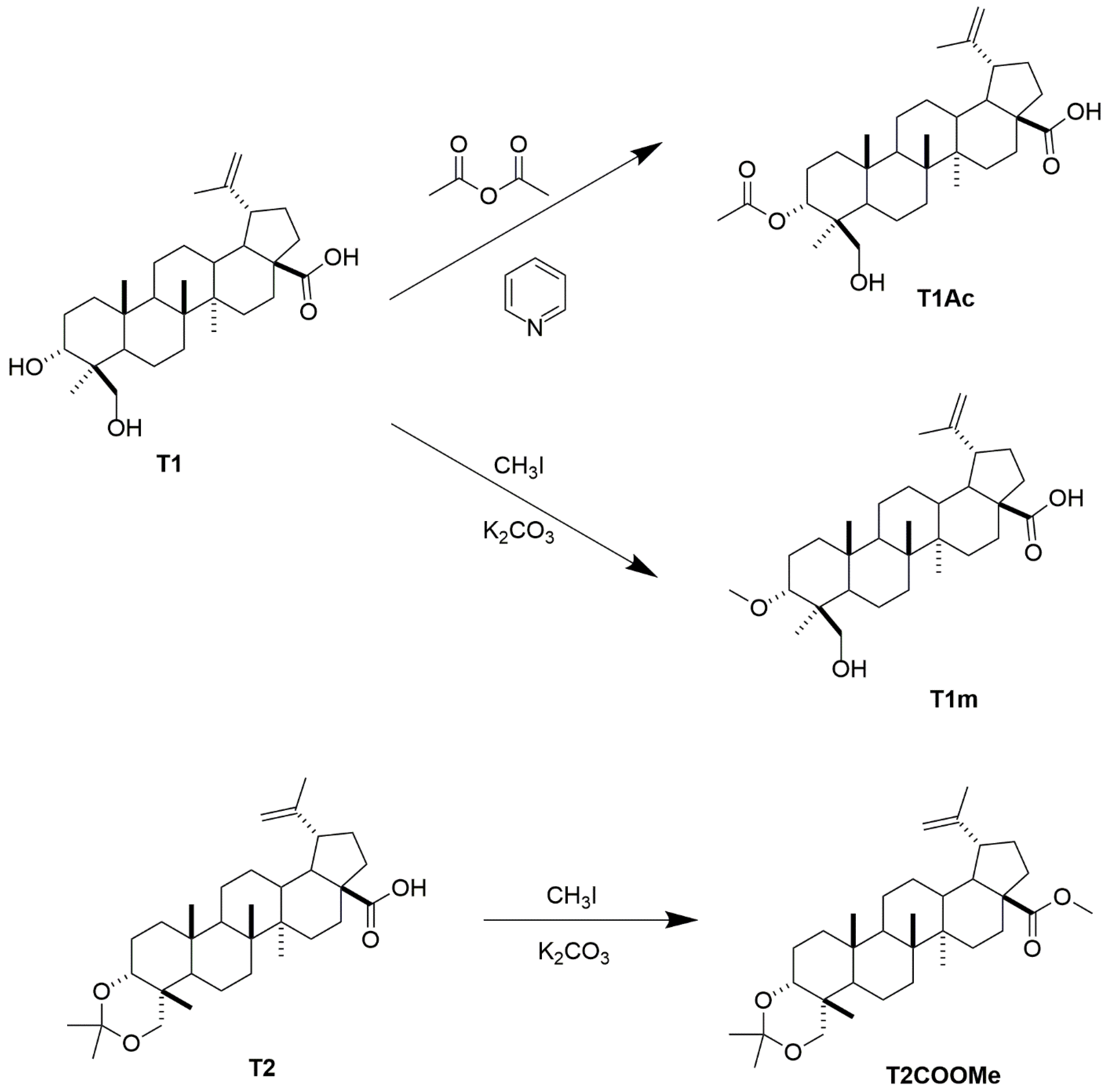 Molecules 27 08263 g001