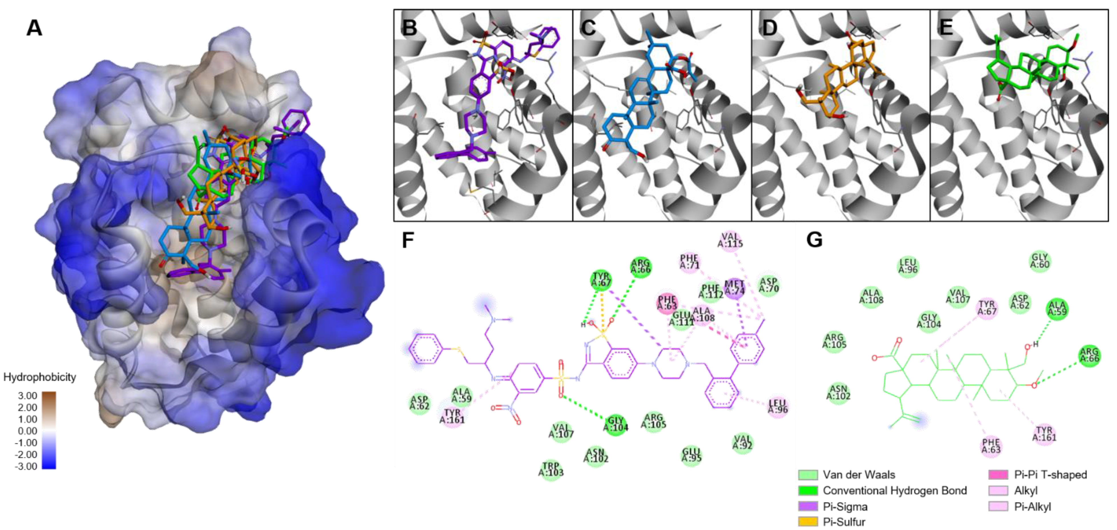 Molecules 27 08263 g006