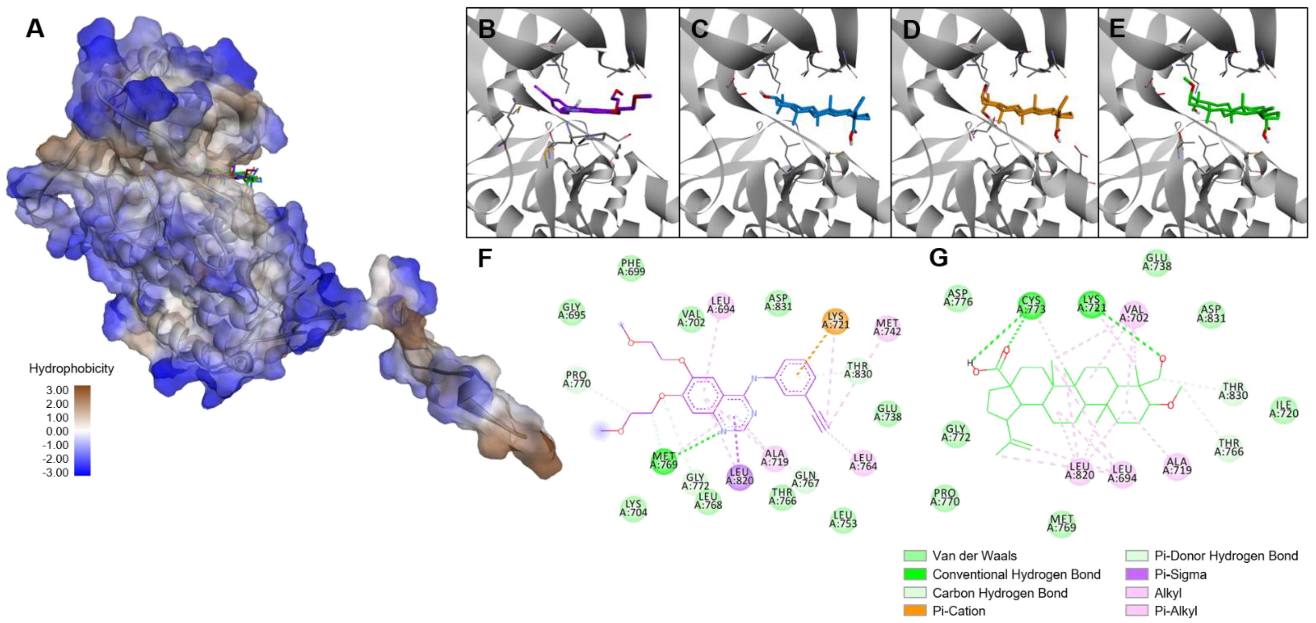 Molecules 27 08263 g007