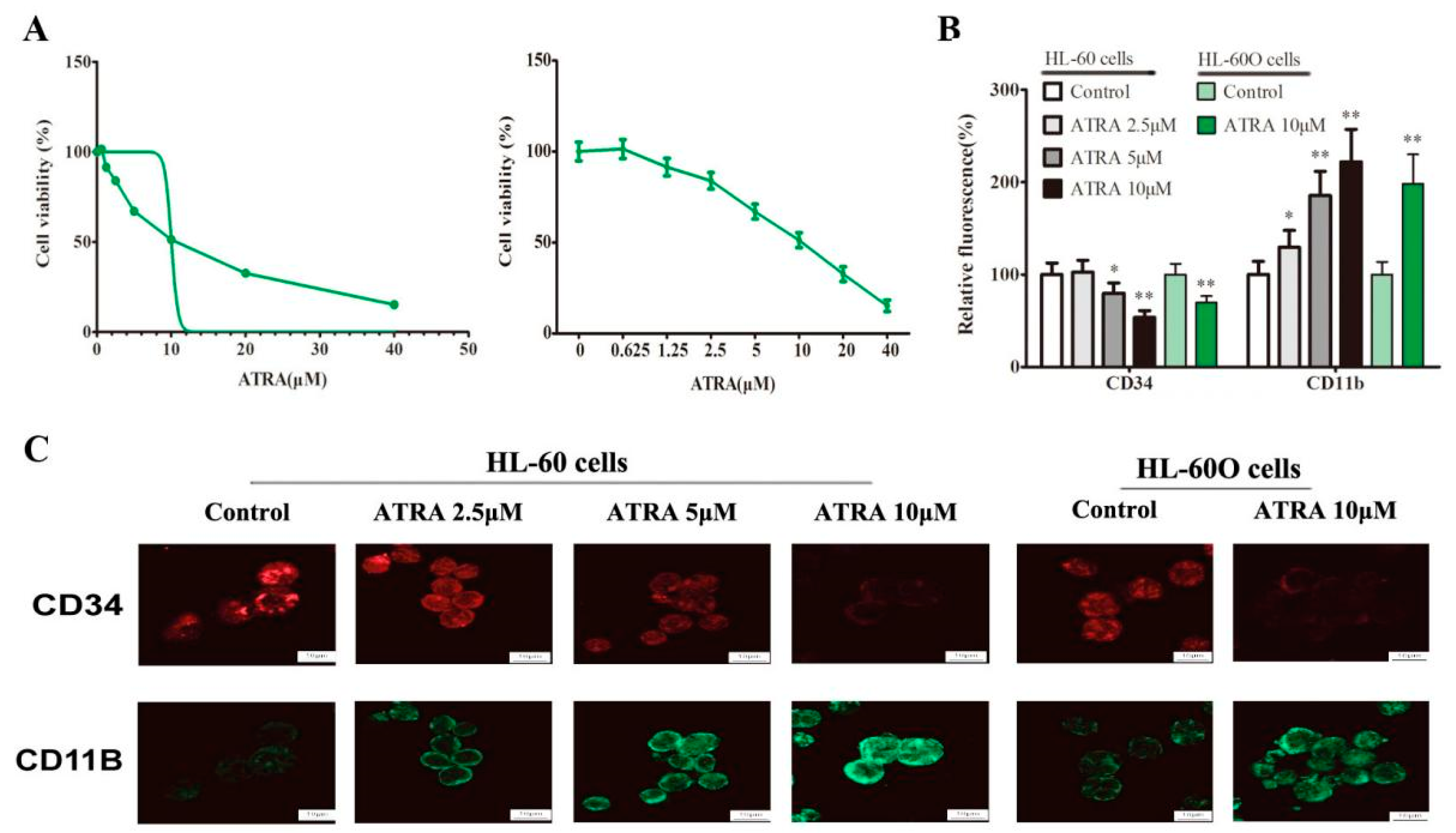 Molecules 27 08264 g005