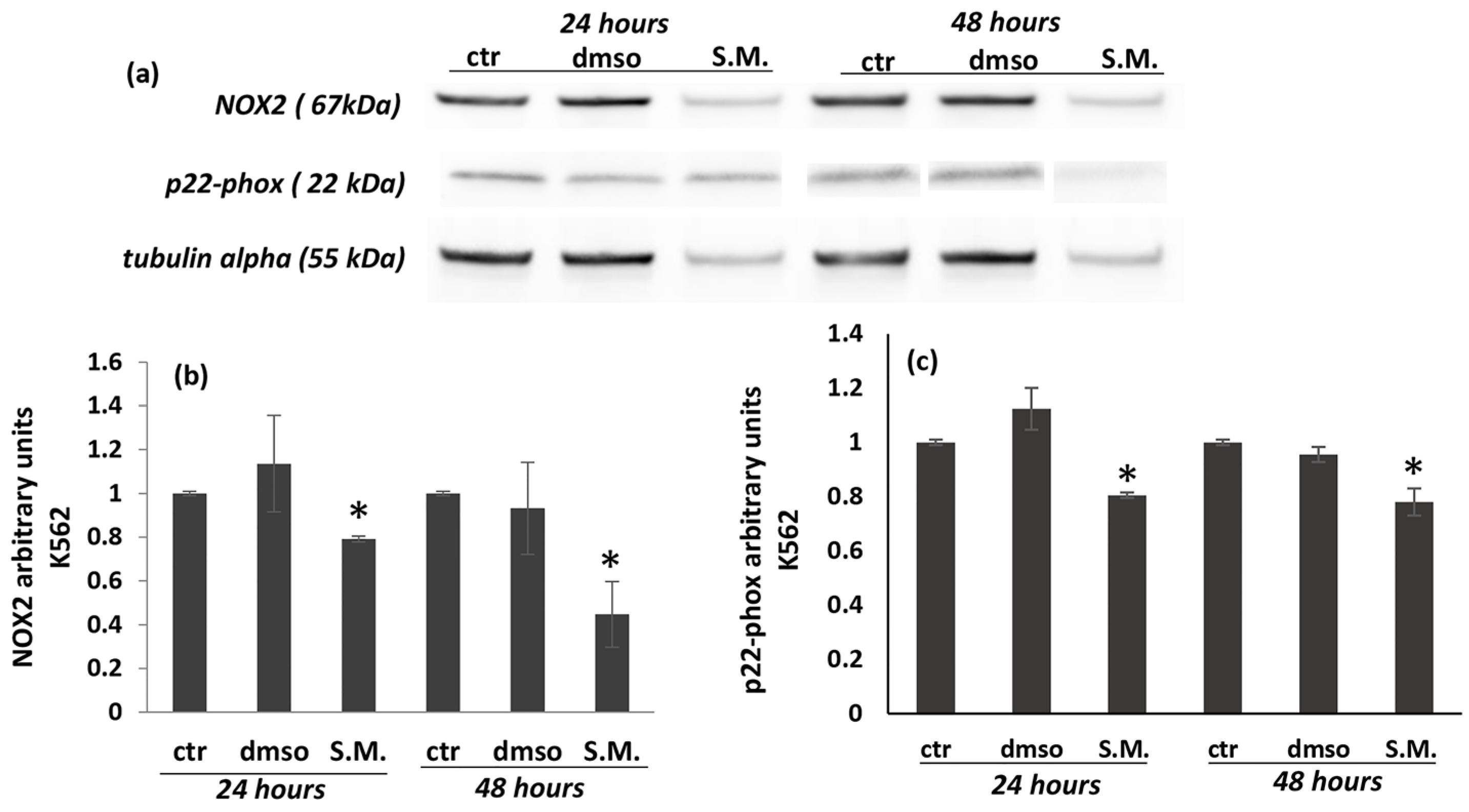 Molecules 27 08270 g008