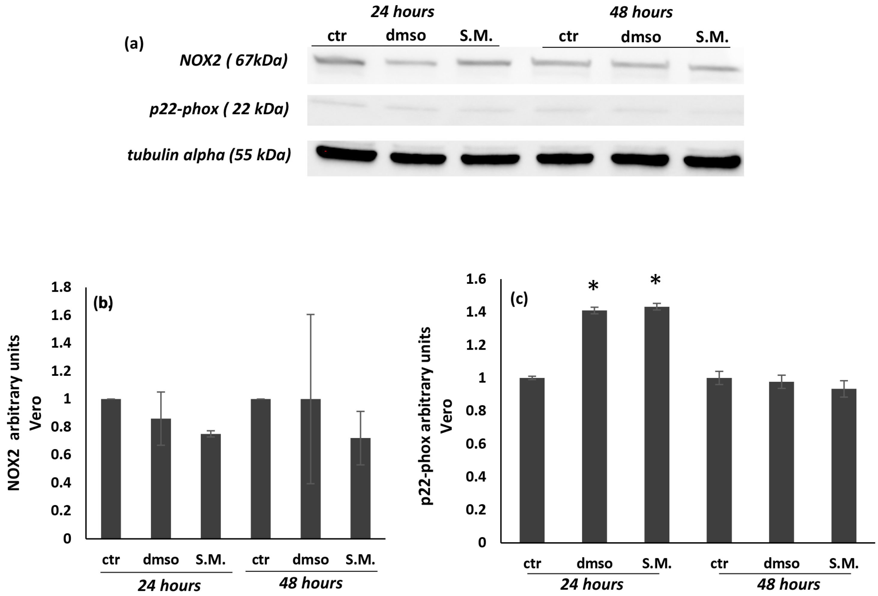 Molecules 27 08270 g009