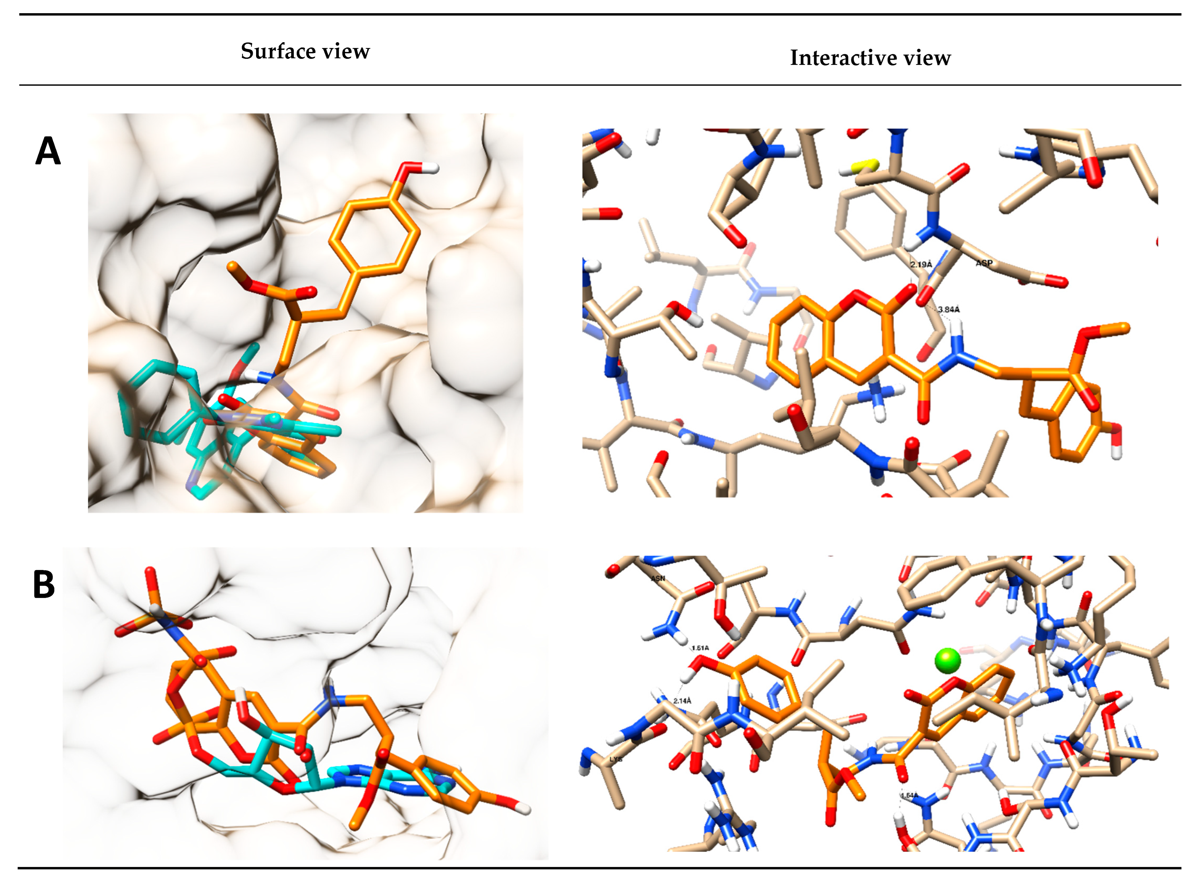 Molecules 27 08279 g003 Molecules 27 08279 g003