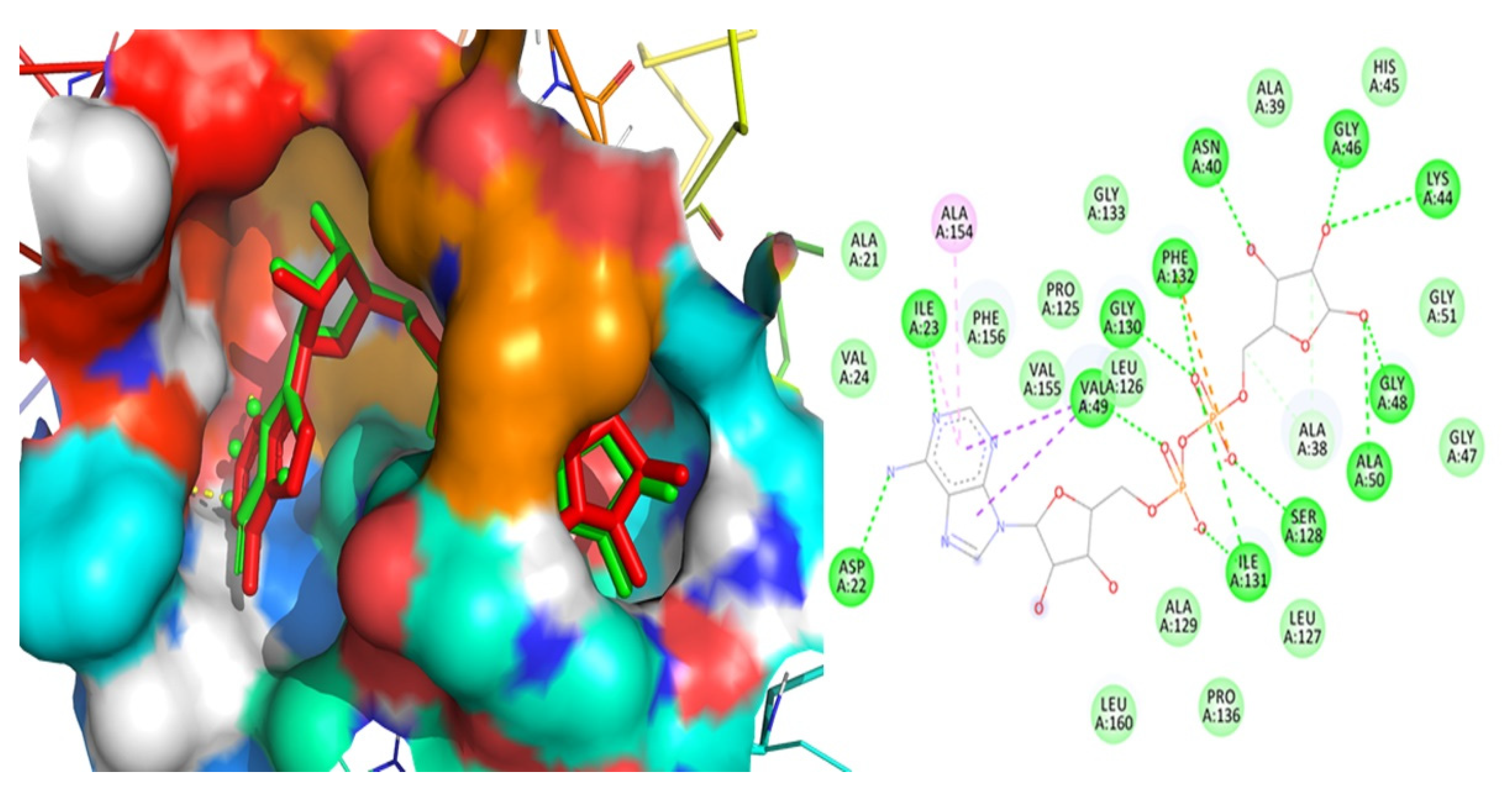 Molecules 27 08287 g002