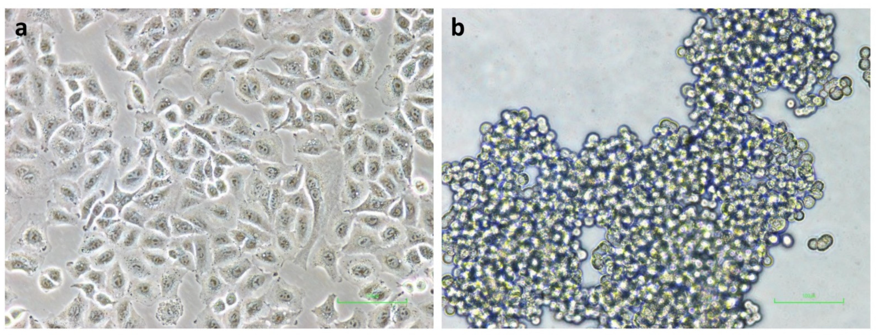 Molecules 27 08295 g003
