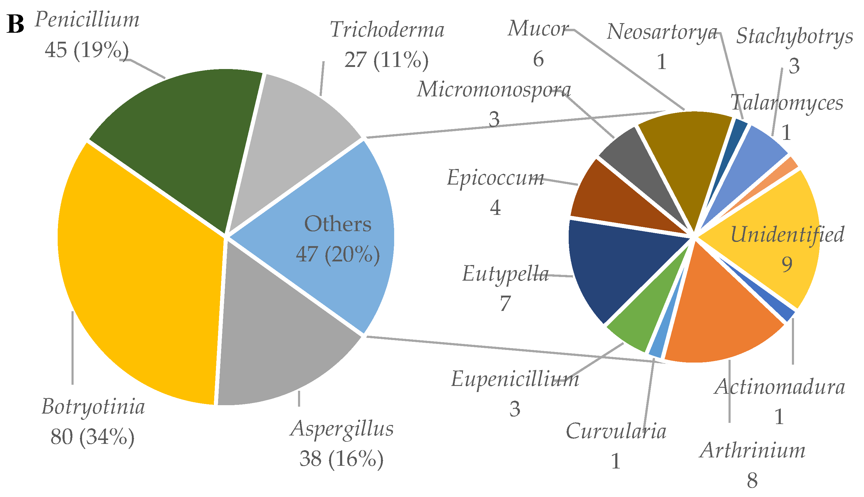 Molecules 27 08303 g002b