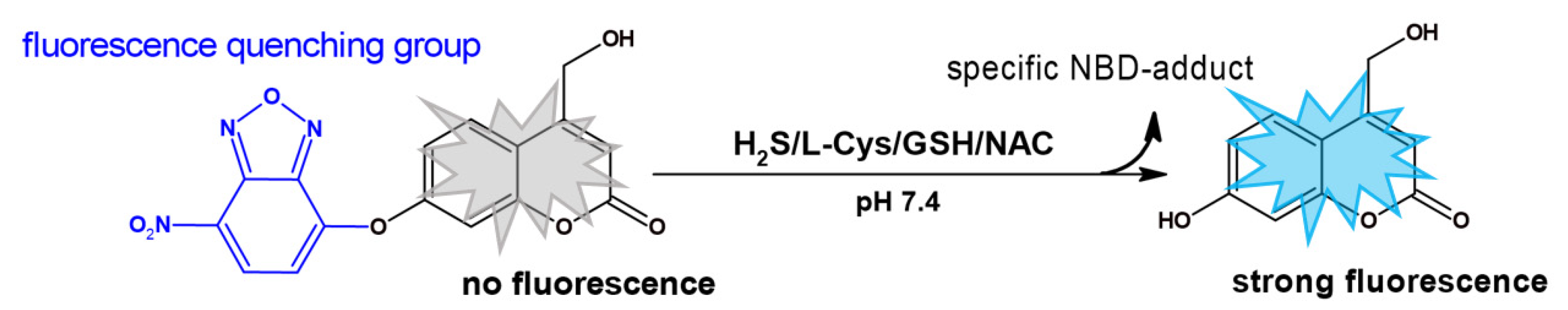 Molecules 27 08305 sch001