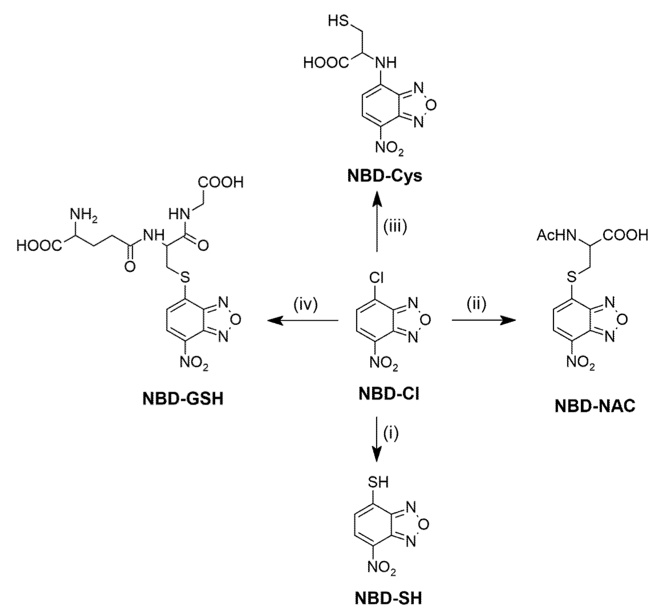 Molecules 27 08305 sch003