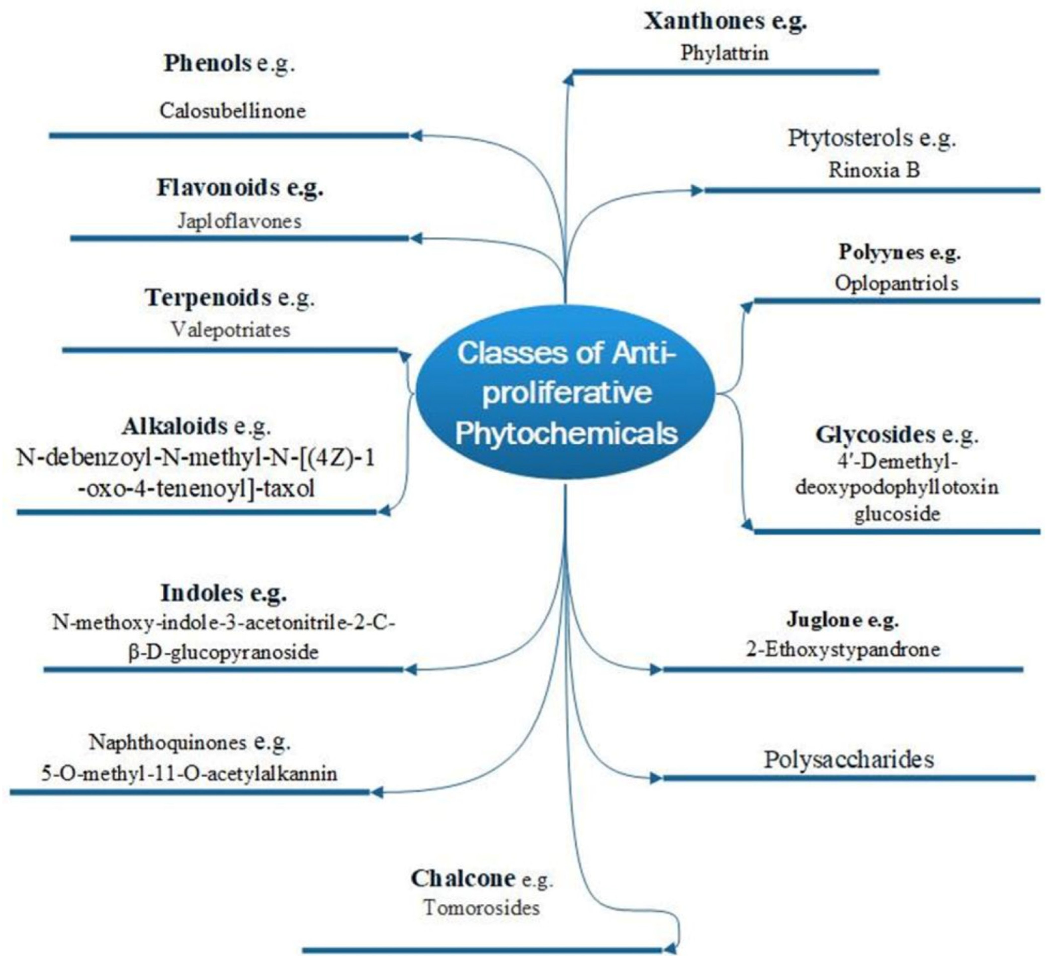 Molecules 27 08307 g001 Molecules 27 08307 g001