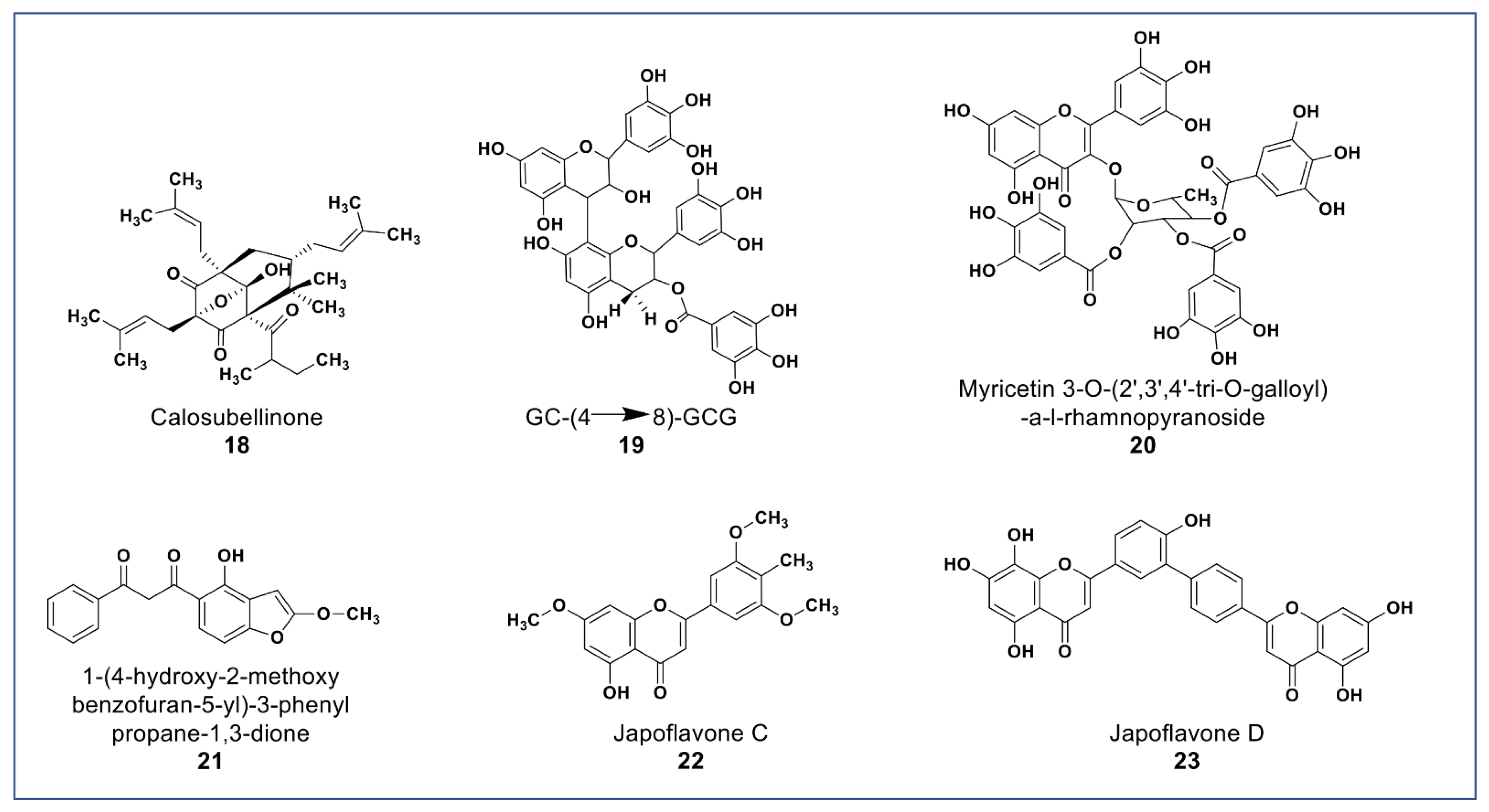 Molecules 27 08307 g004 Molecules 27 08307 g004