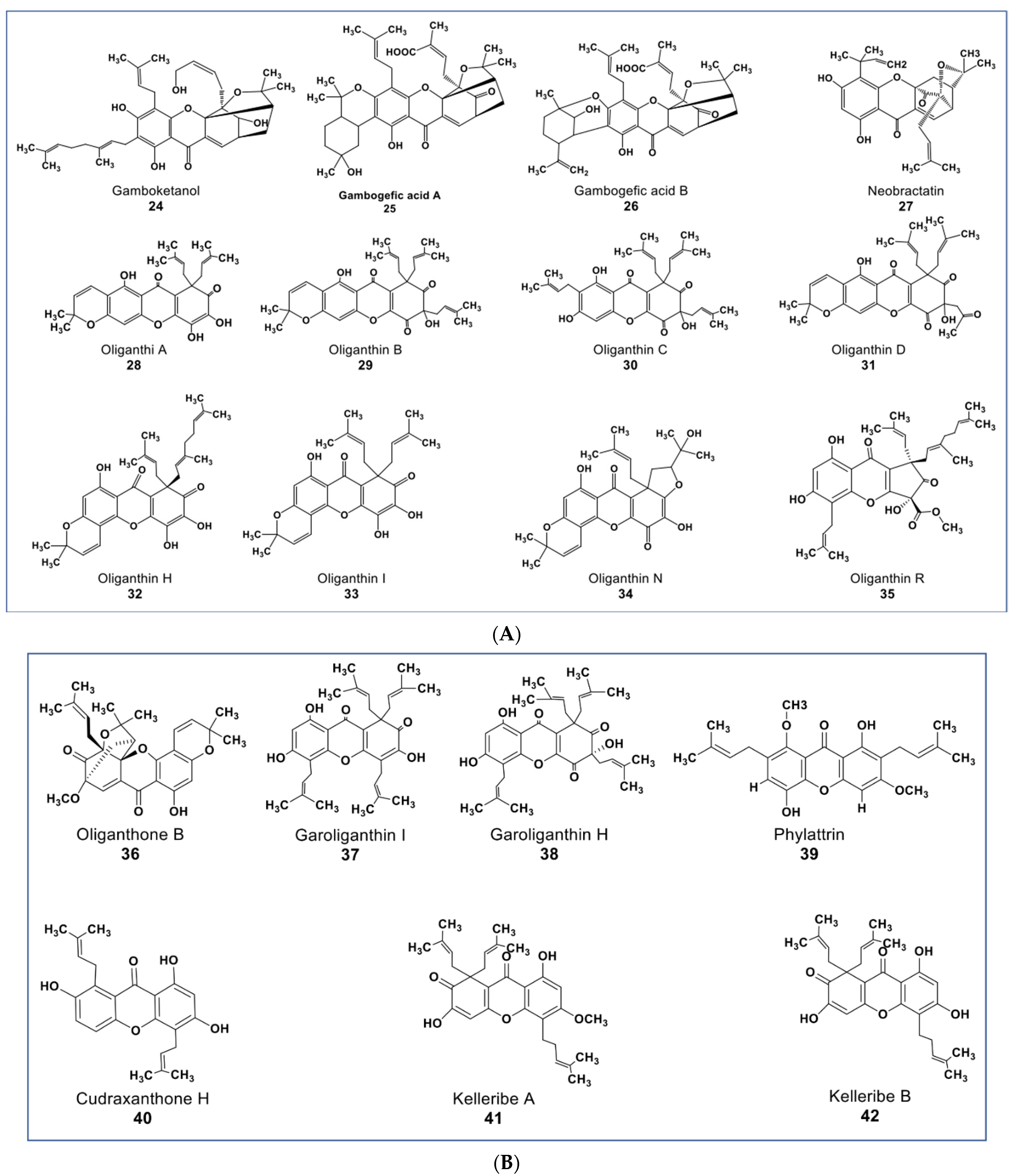 Molecules 27 08307 g005 Molecules 27 08307 g005